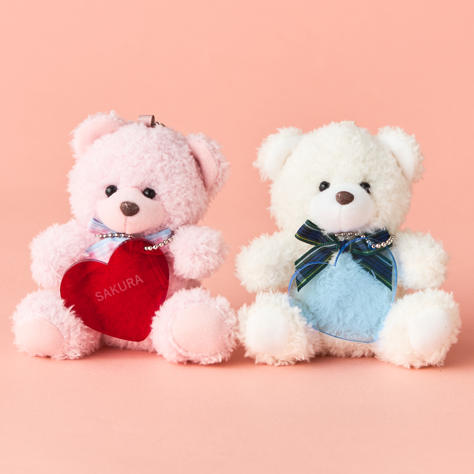 【名入れ無料・BOX入り】チョコレート&ハートチャーム付ペアテディベア