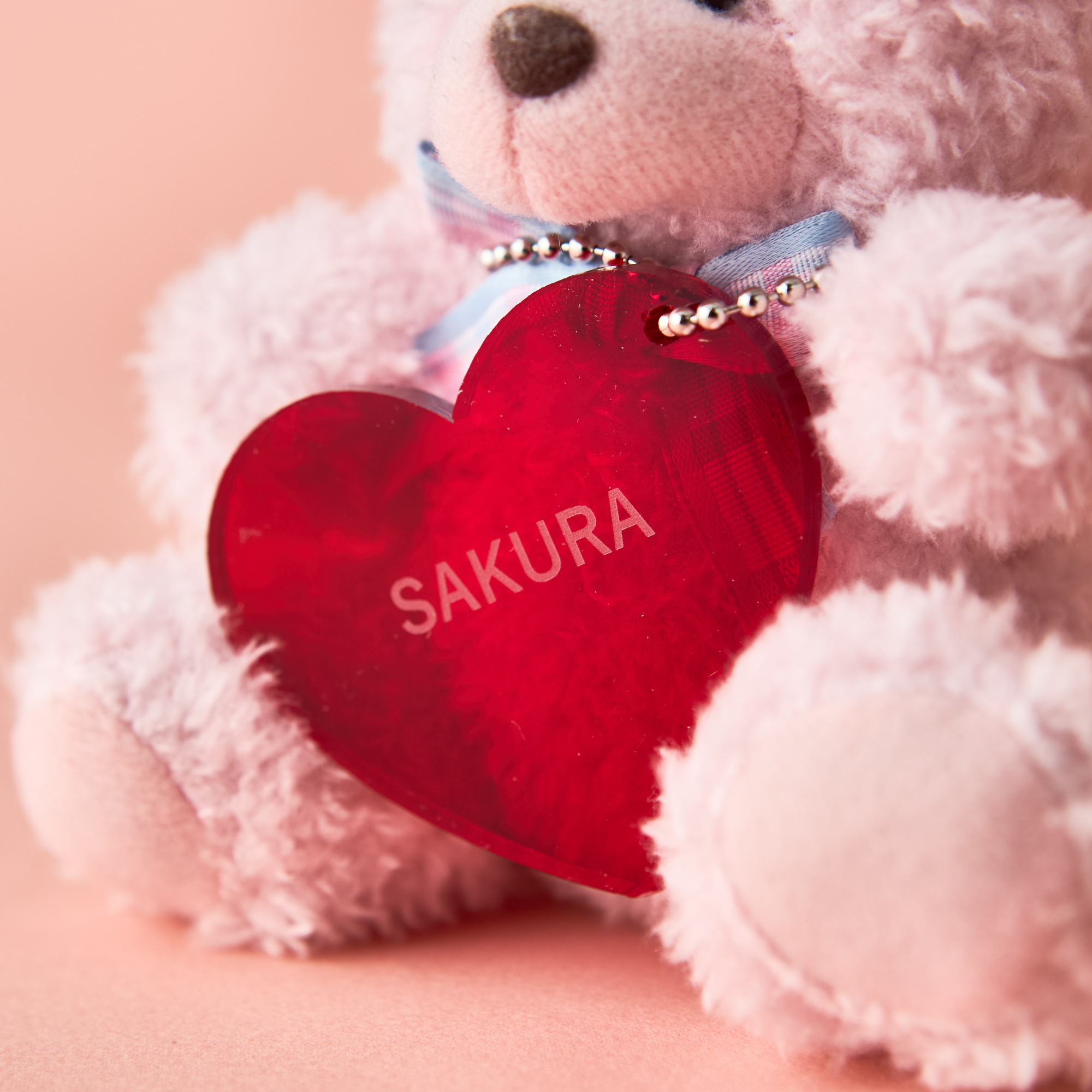 【名入れ無料・BOX入り】チョコレート&ハートチャーム付ペアテディベア