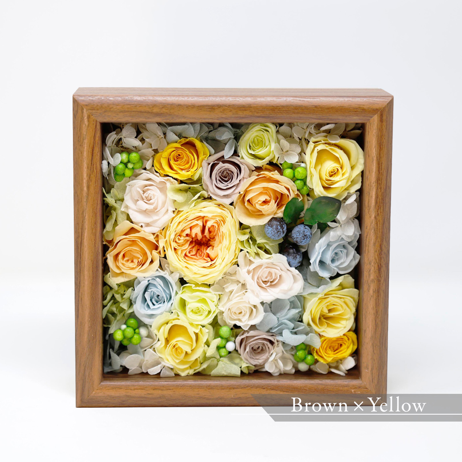 メッセージボックス　Hanahuru-はなふる-