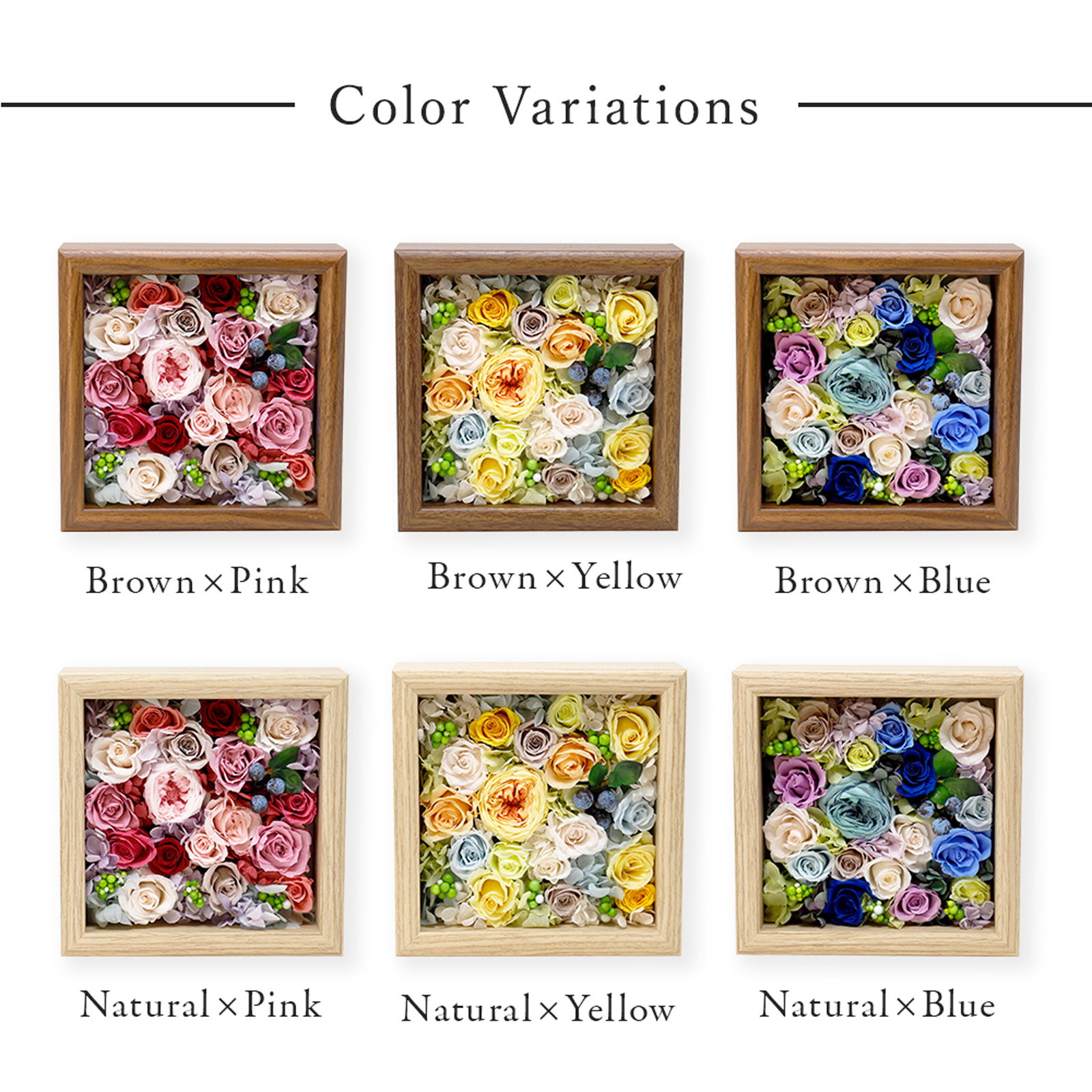 メッセージボックス　Hanahuru-はなふる-