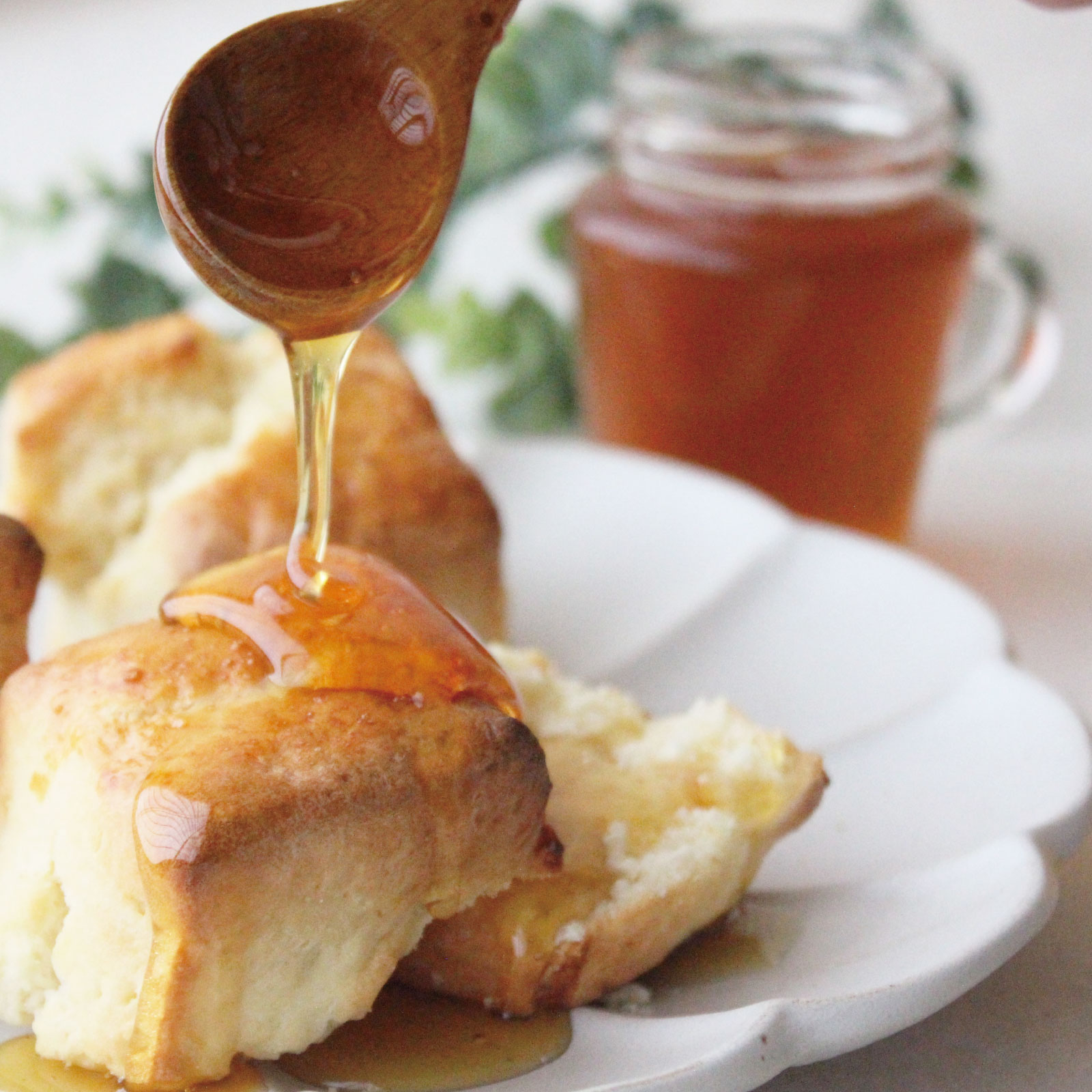 世界のはちみつ2本セット（ブルガリア・コーヒー）