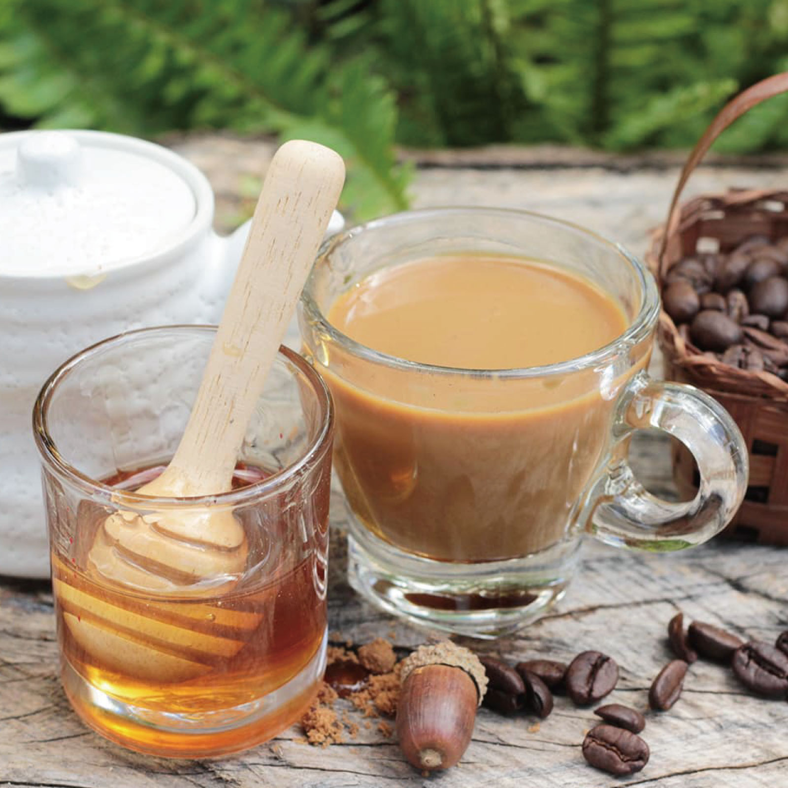 世界のはちみつ2本セット（ブルガリア・コーヒー）