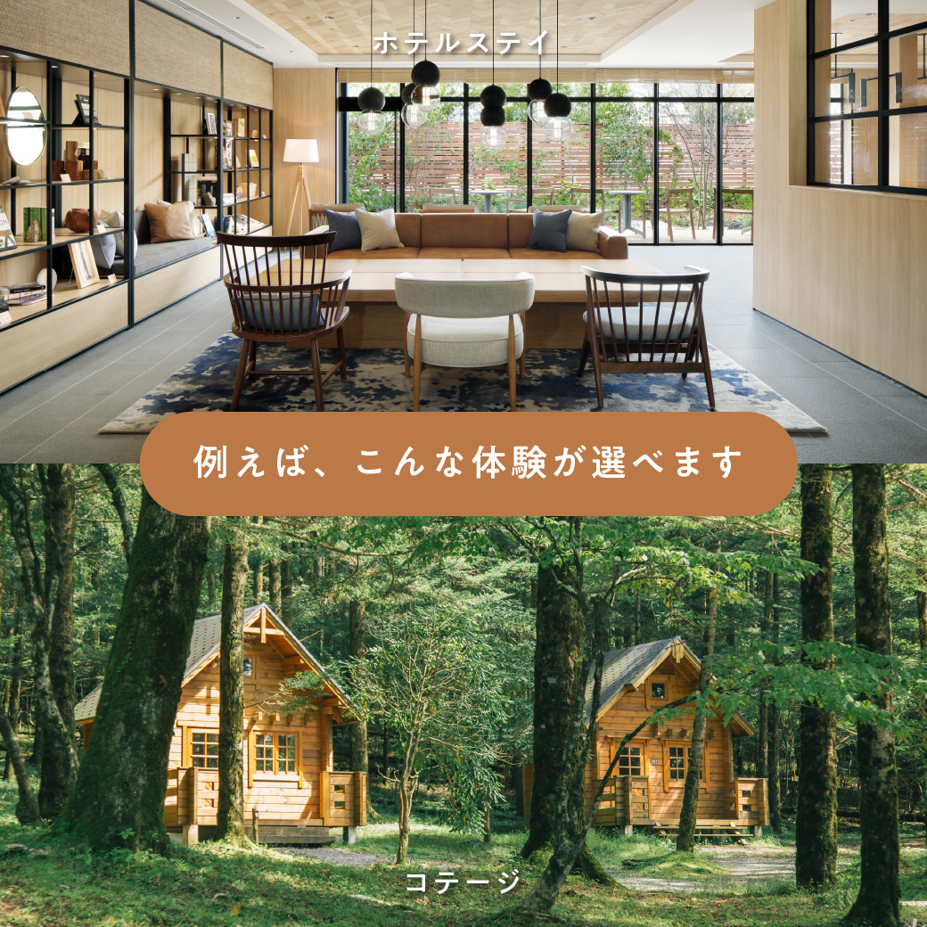 旅と体験のギフト（BROWN） | SOW EXPERIENCE（ソウ・エクスペリエンス