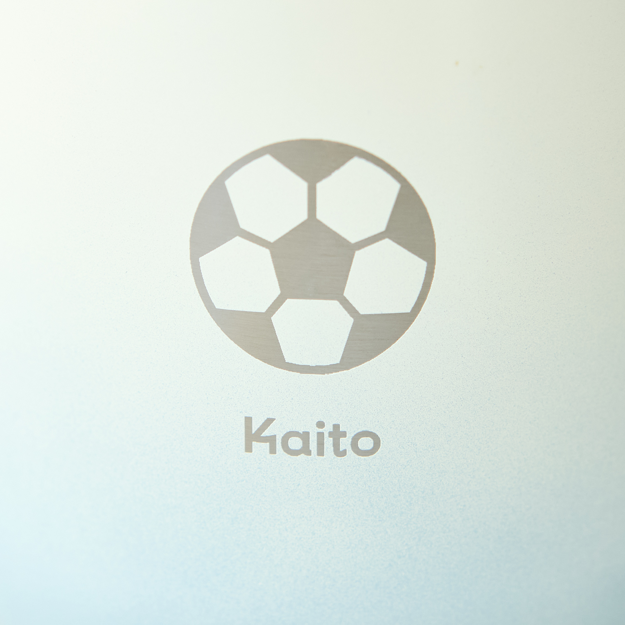 【名入れ&アイコン刻印】ステンレスサーモタンブラー550ml