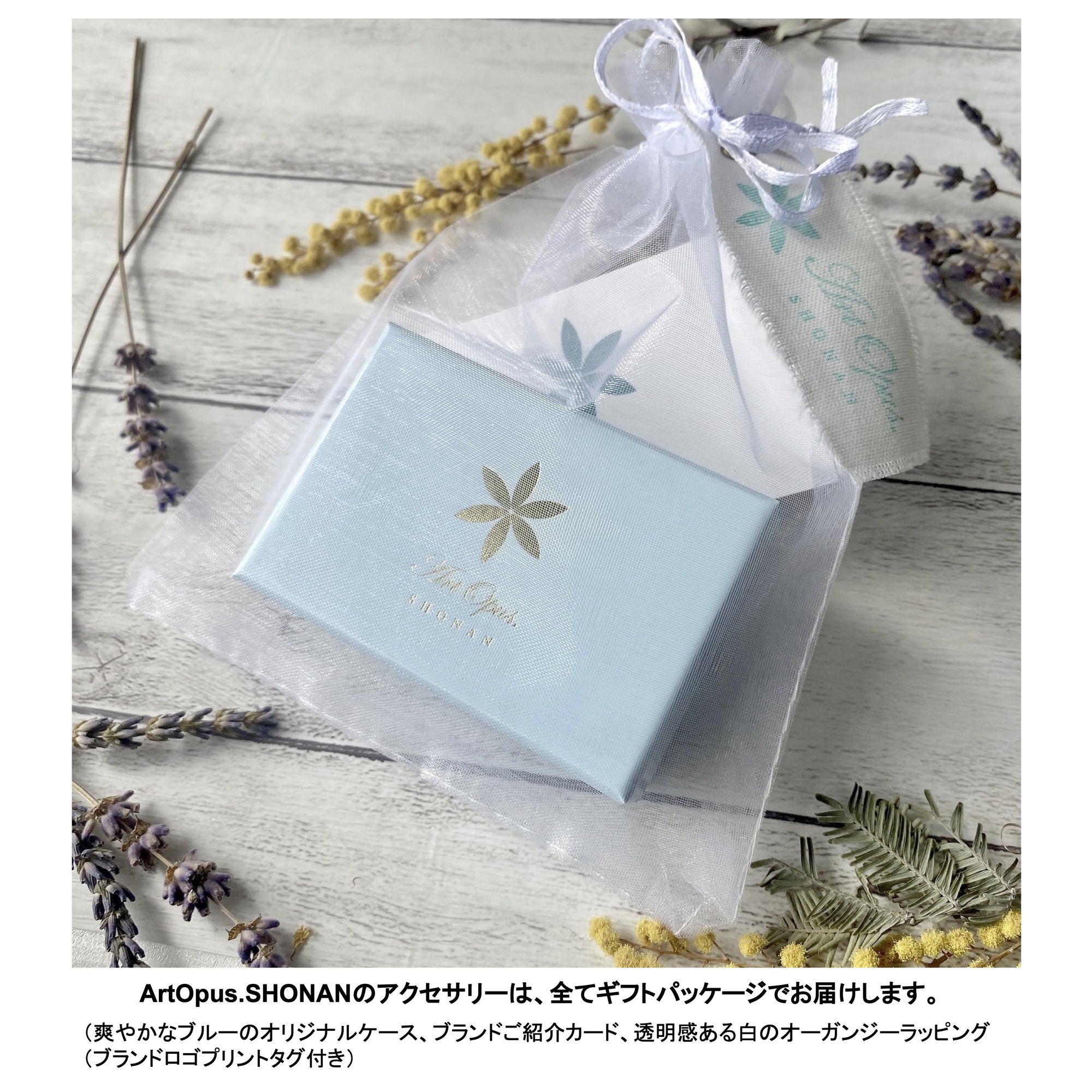 ピアス / イヤリング　Fuji（富士）