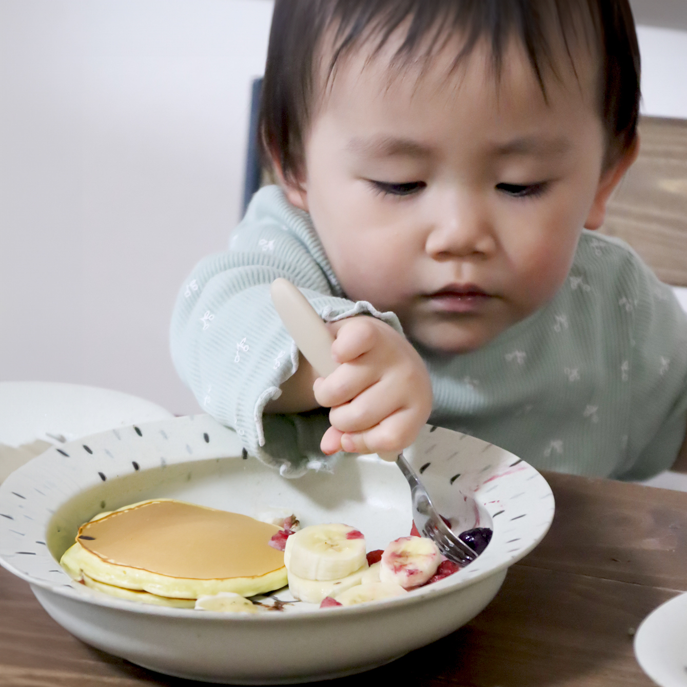 モグモグランチ スターティングセット