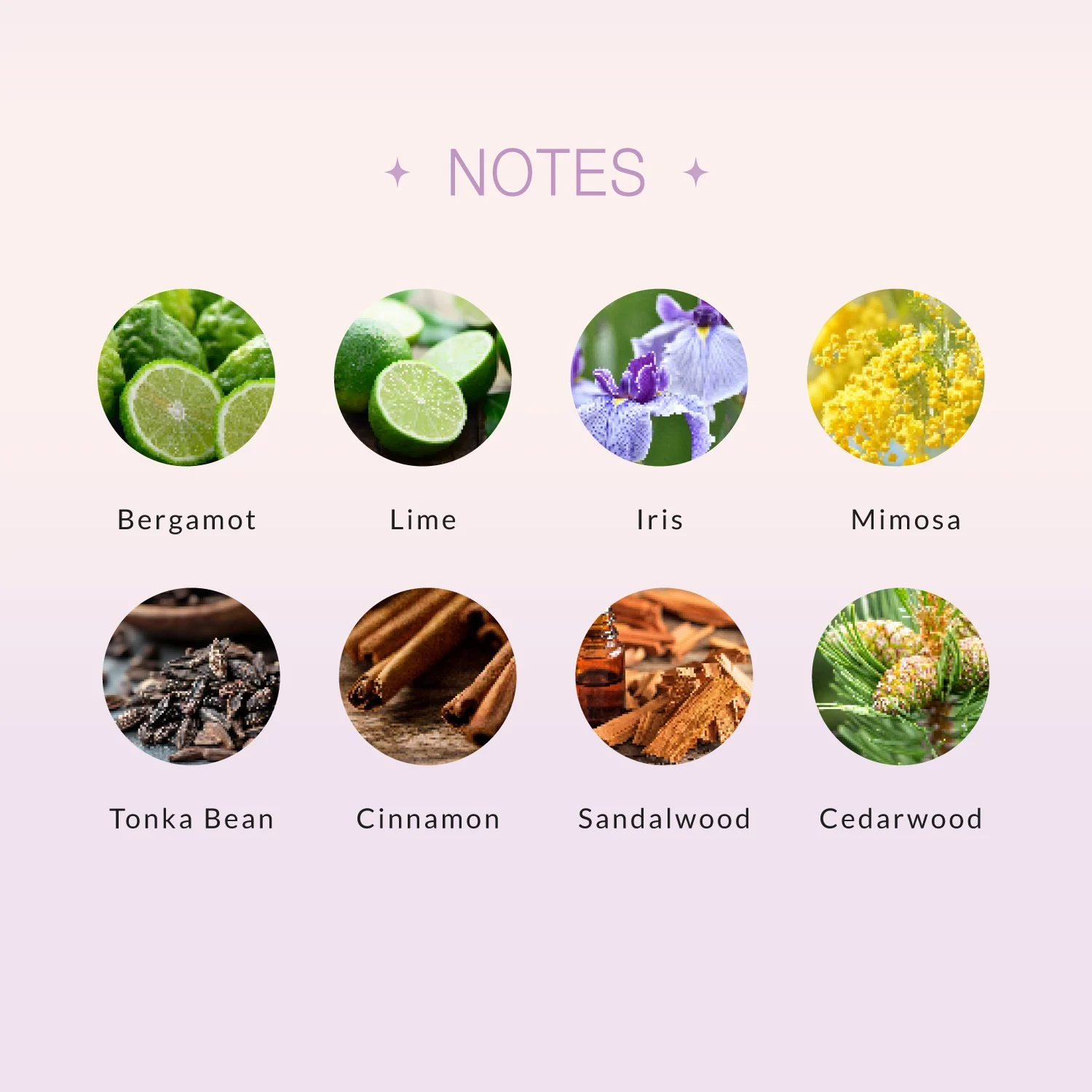 SNIDEL オードトワレ noon moon