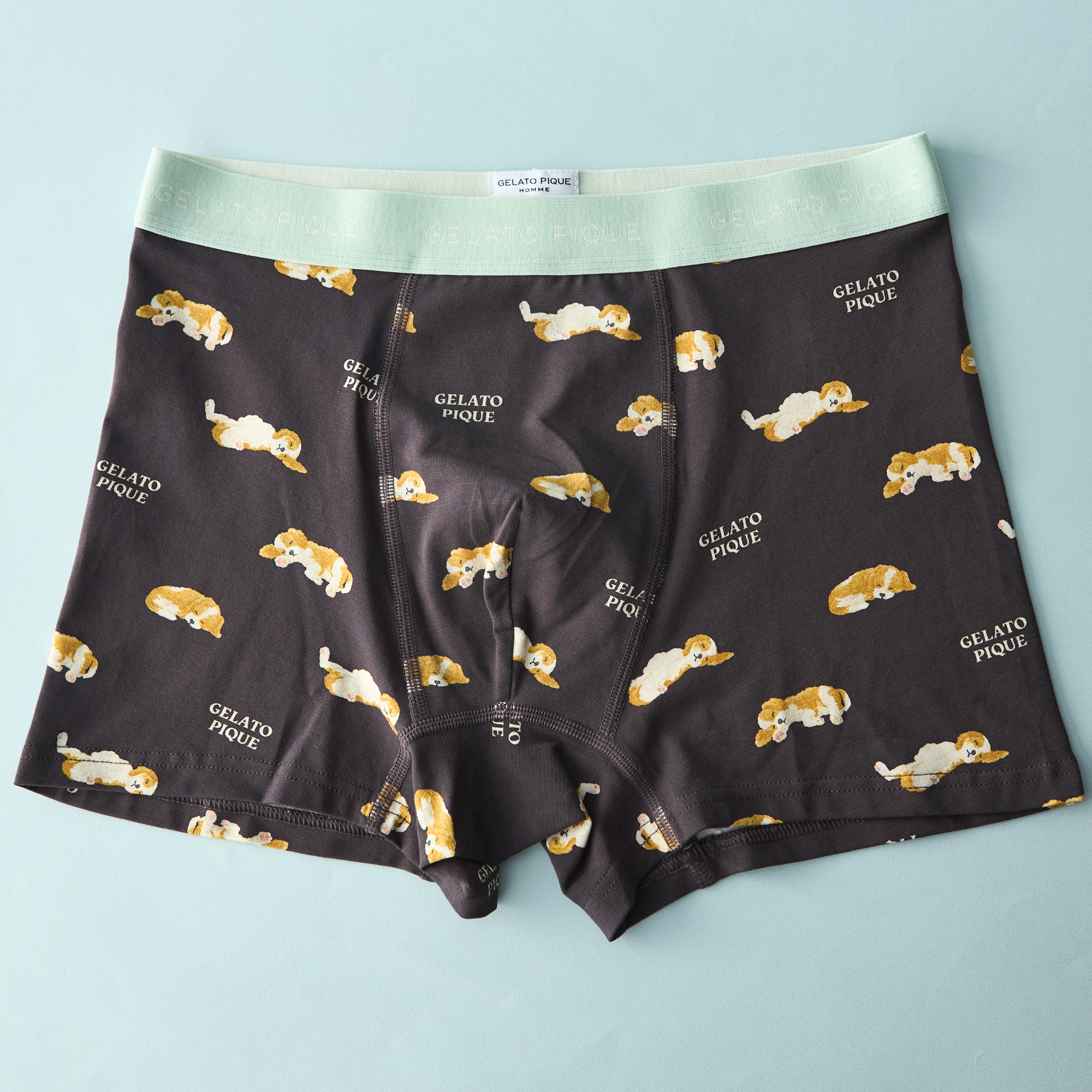 【HOMME】スリーピングドッグ柄アンダーウェア＜BOX入り＞