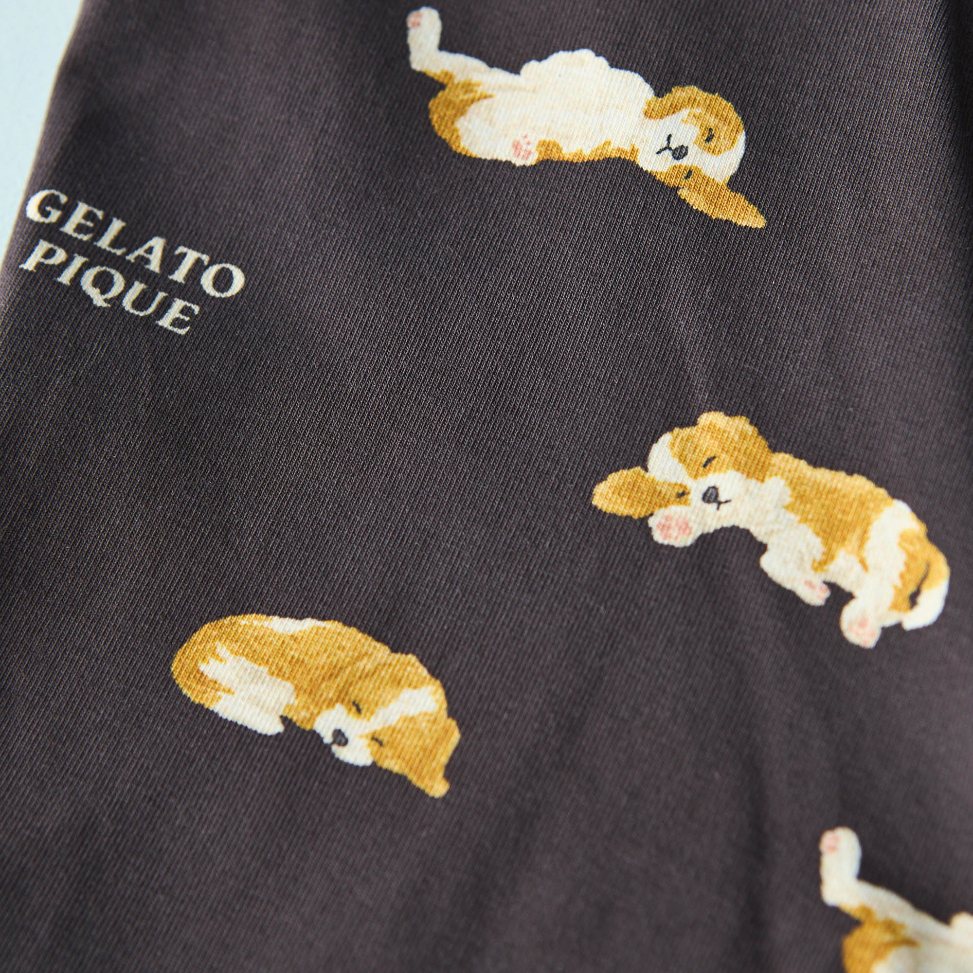 【HOMME】スリーピングドッグ柄アンダーウェア＜BOX入り＞