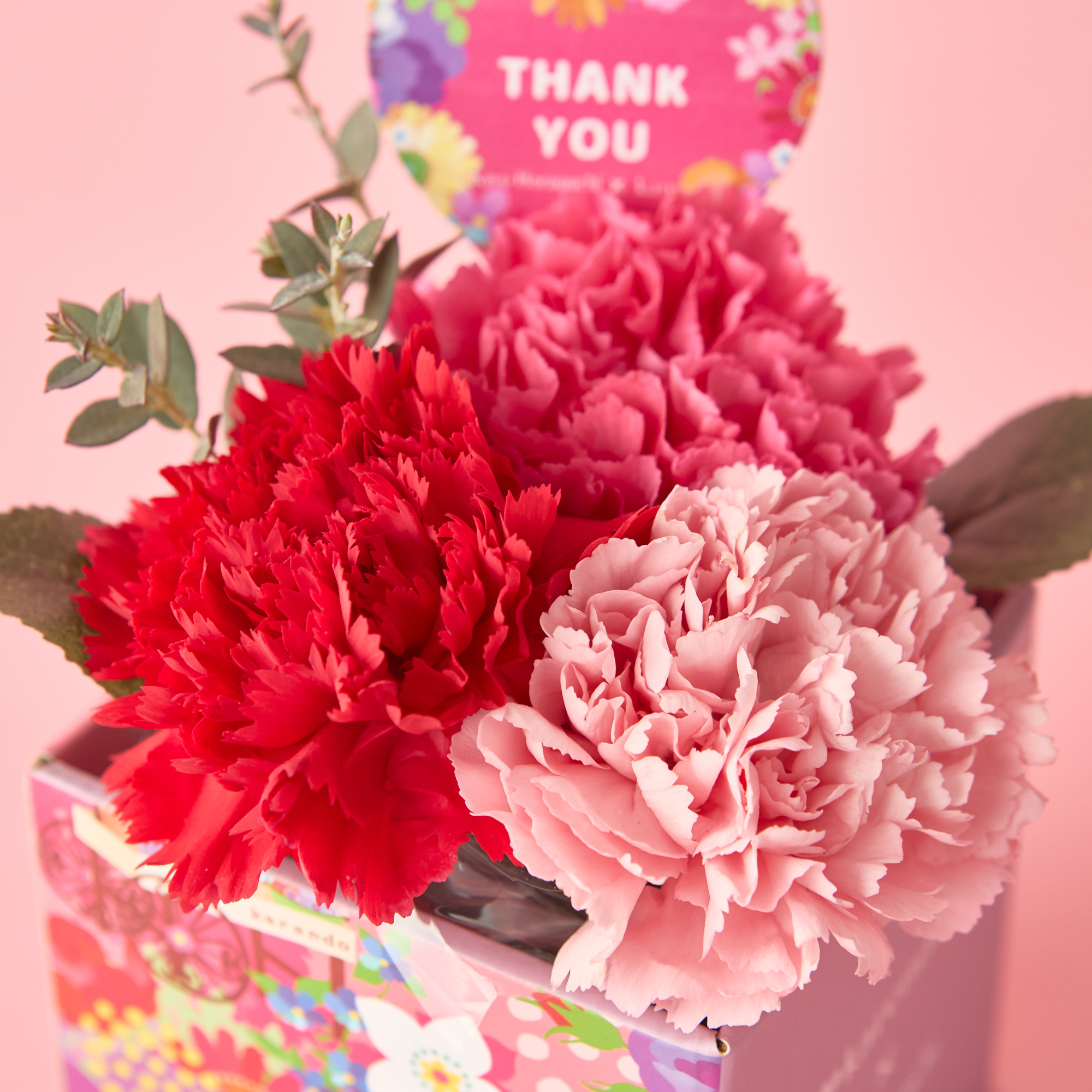 【母の日に贈る】選べるカーネーション＆疲れを癒す温熱＆EMS「NECK RELAX」