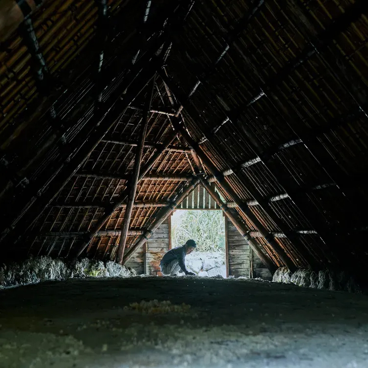 【母の日に贈る】選べるカーネーション＆限りなく天然温泉に近い入浴剤「HAA（5個入り）」