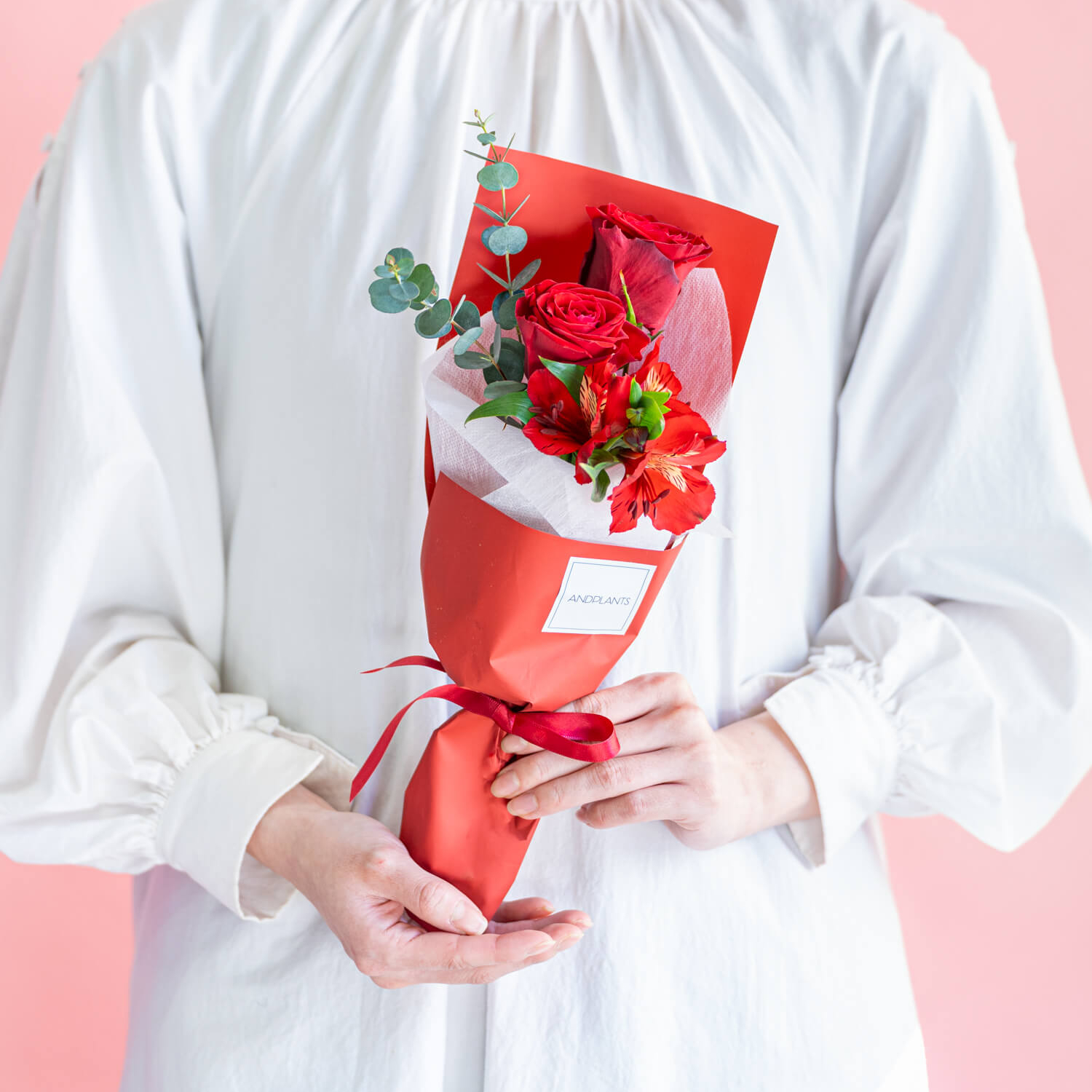 【母の日に贈る】選べるカーネーション＆限りなく天然温泉に近い入浴剤「HAA（5個入り）」