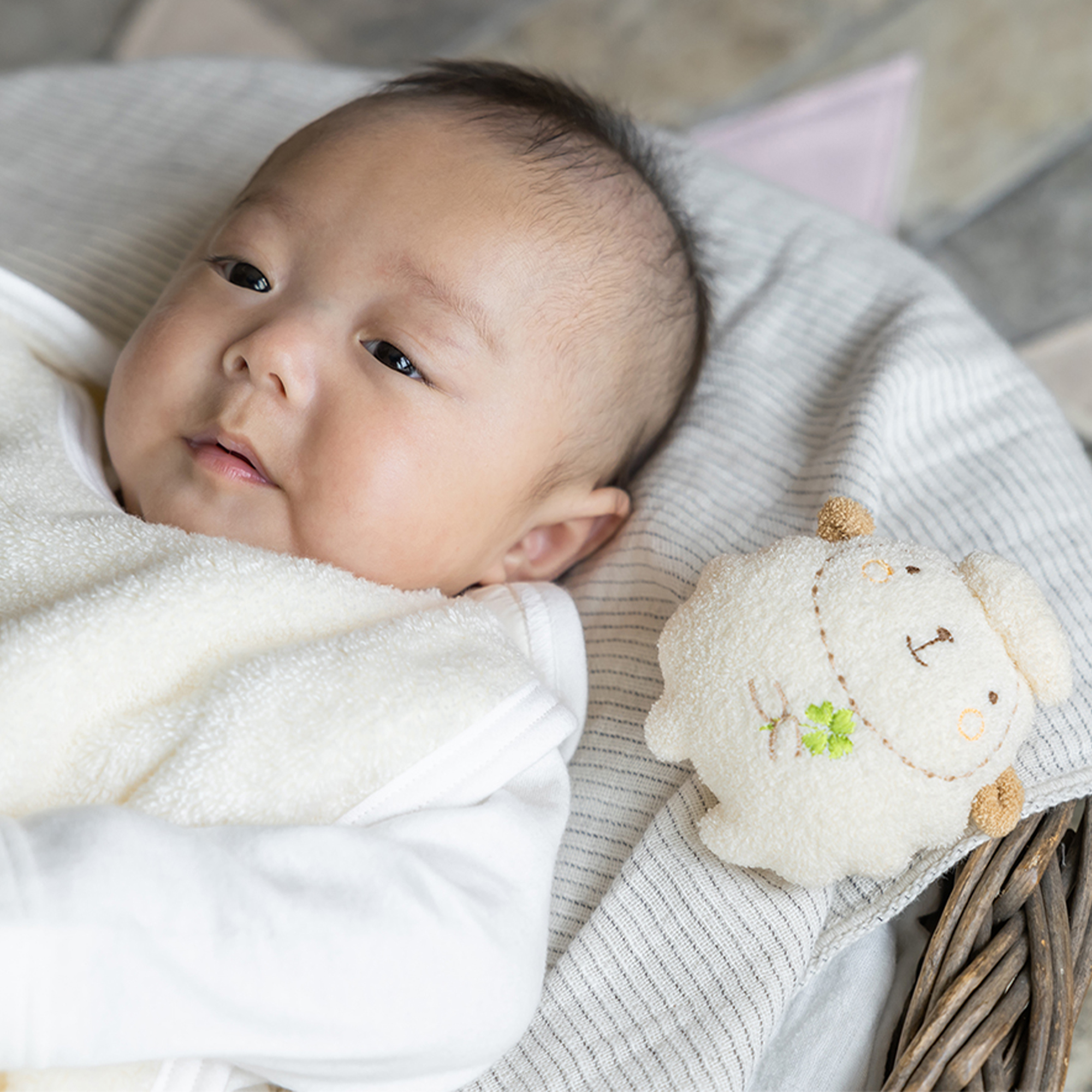 【BOX付ギフト】ギフトセット/スリーパー＆にぎにぎ/ひなたぼっこ