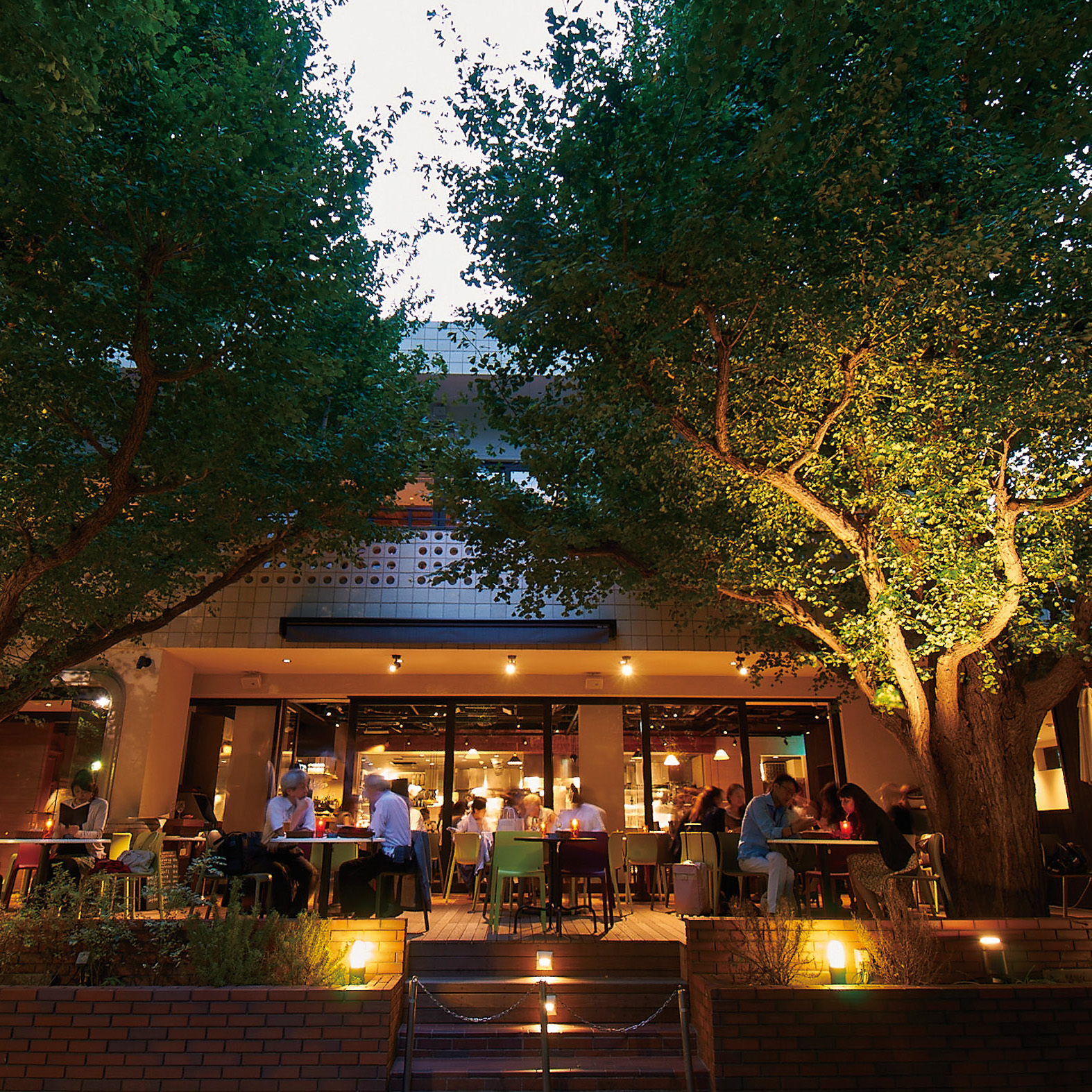 キハチフードホール フルーツドリンク10本セット