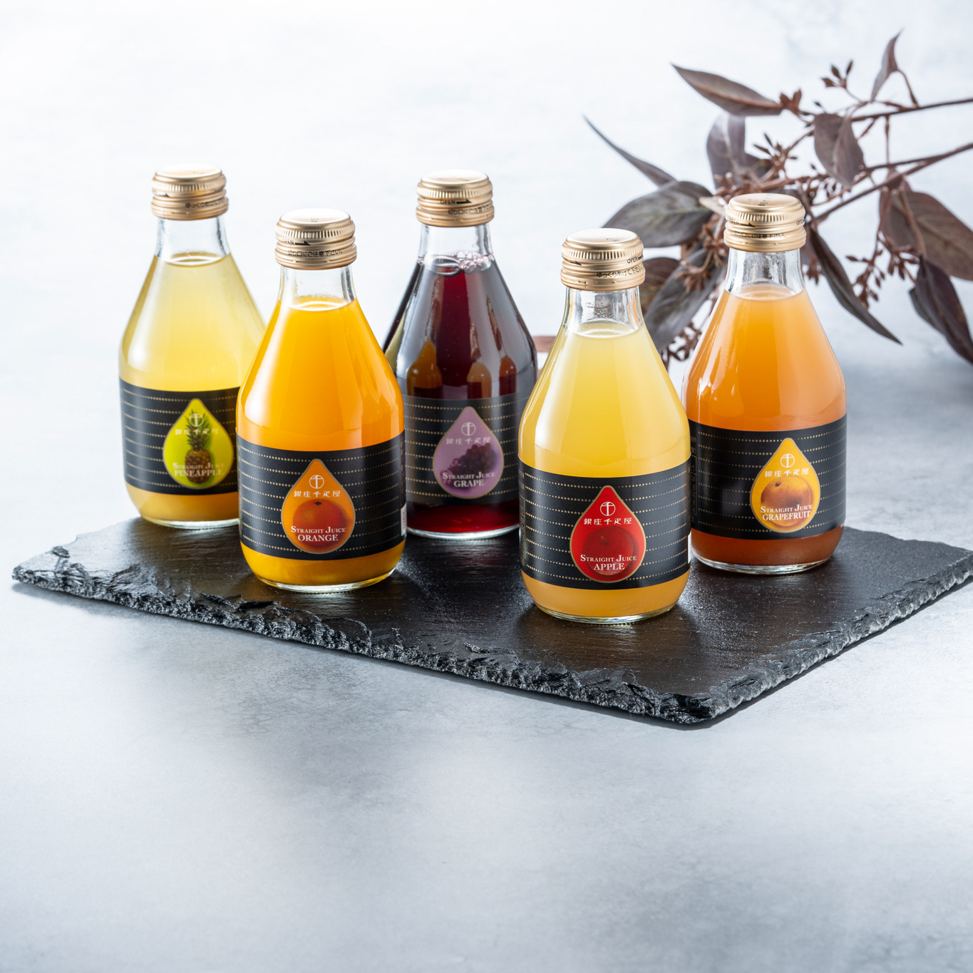 銀座ストレートジュース10本 PGS-129