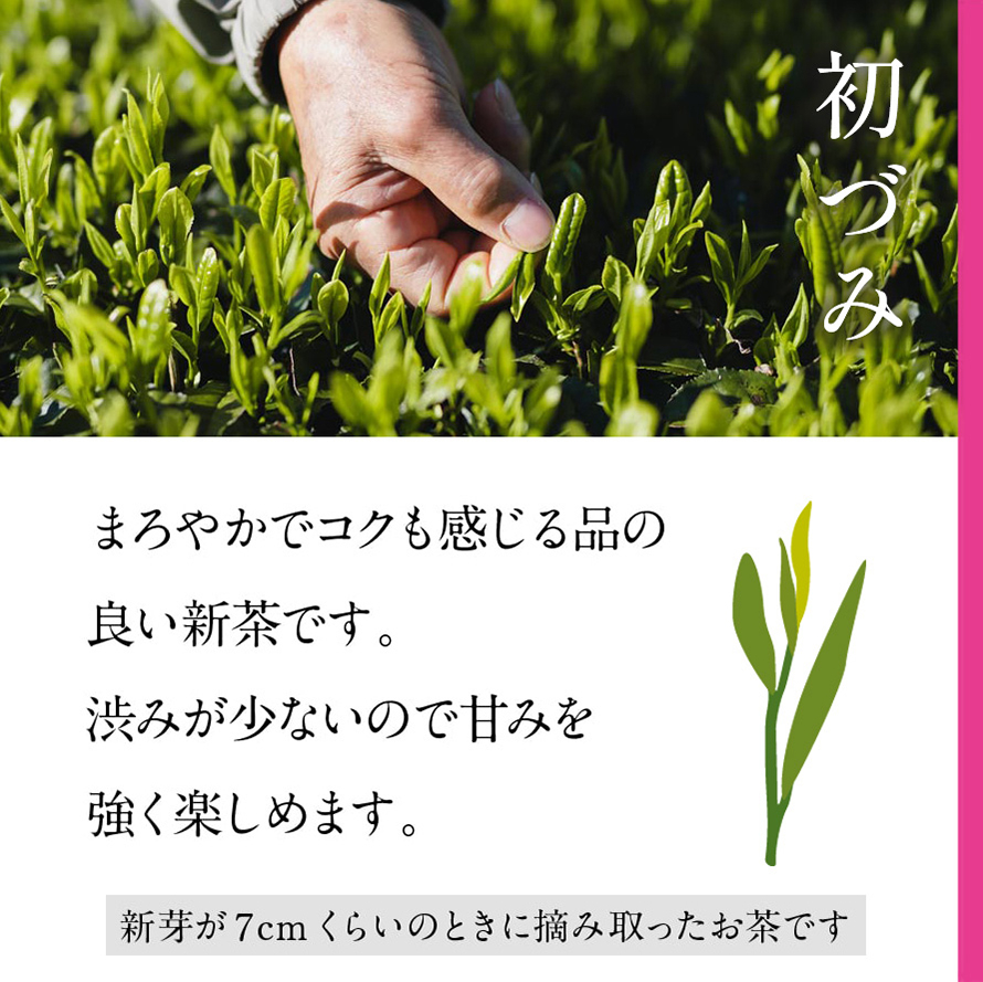竹籠　新茶ギフト