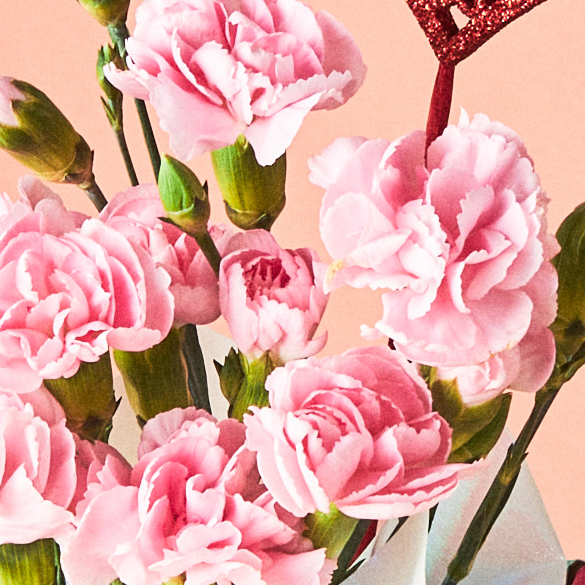 【母の日限定】選べるコスメカタログとカーネーションのセット