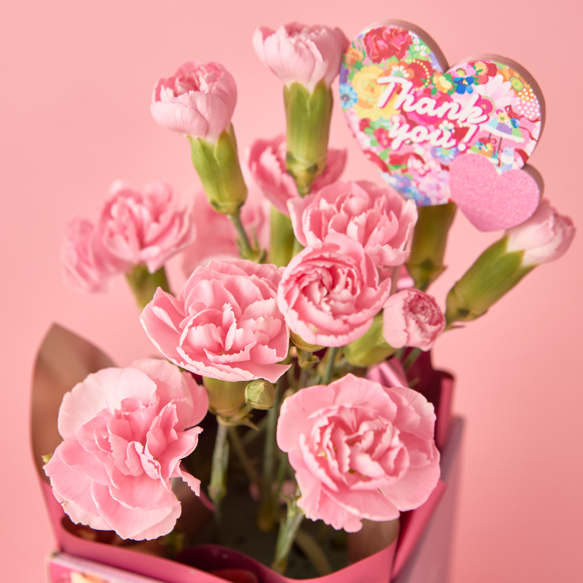 【母の日限定】選べるコスメカタログとカーネーションのセット