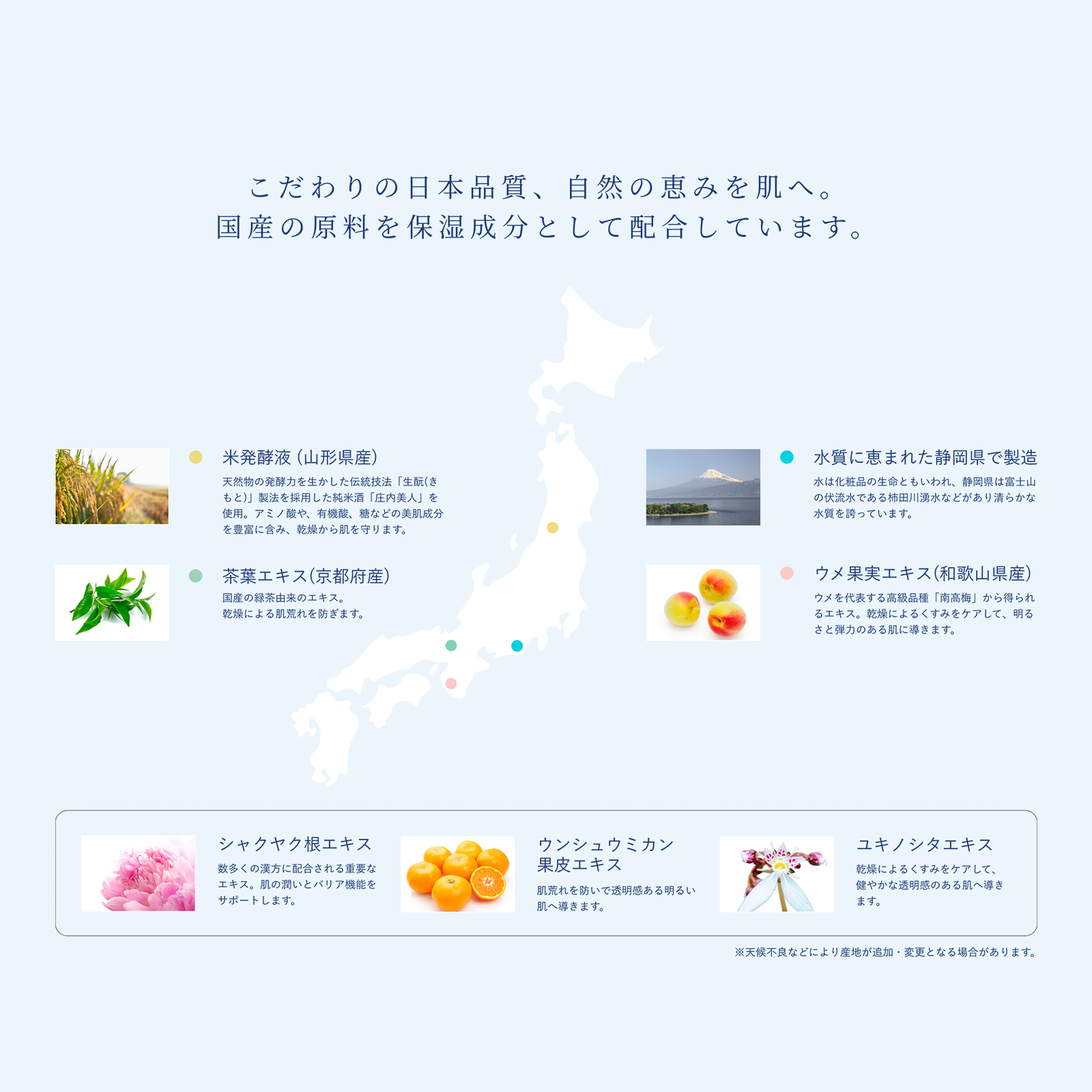 オーガニック 泡ボディウォッシュ