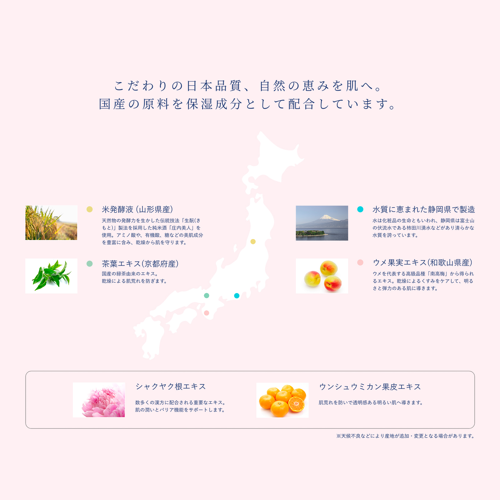 オーガニック マルチオイル