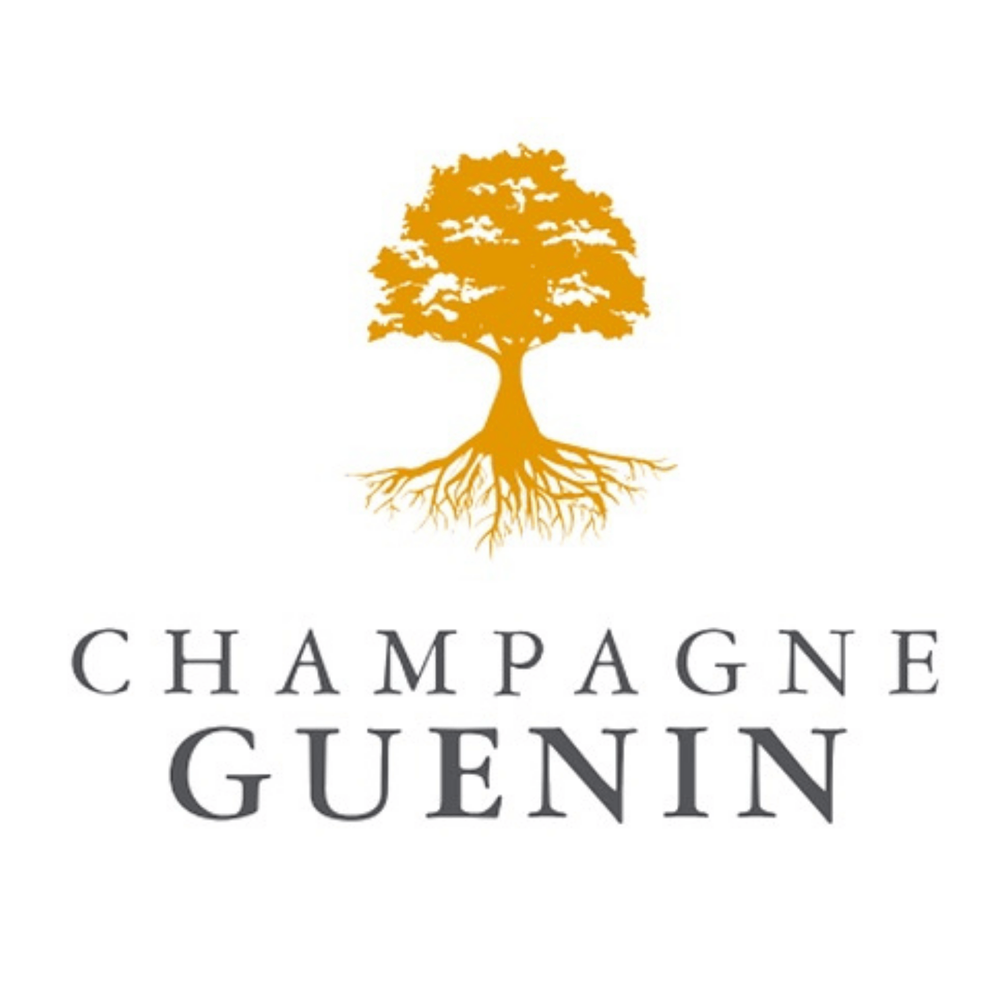 【ギフトボックス入り】シャンパーニュ・リリアル