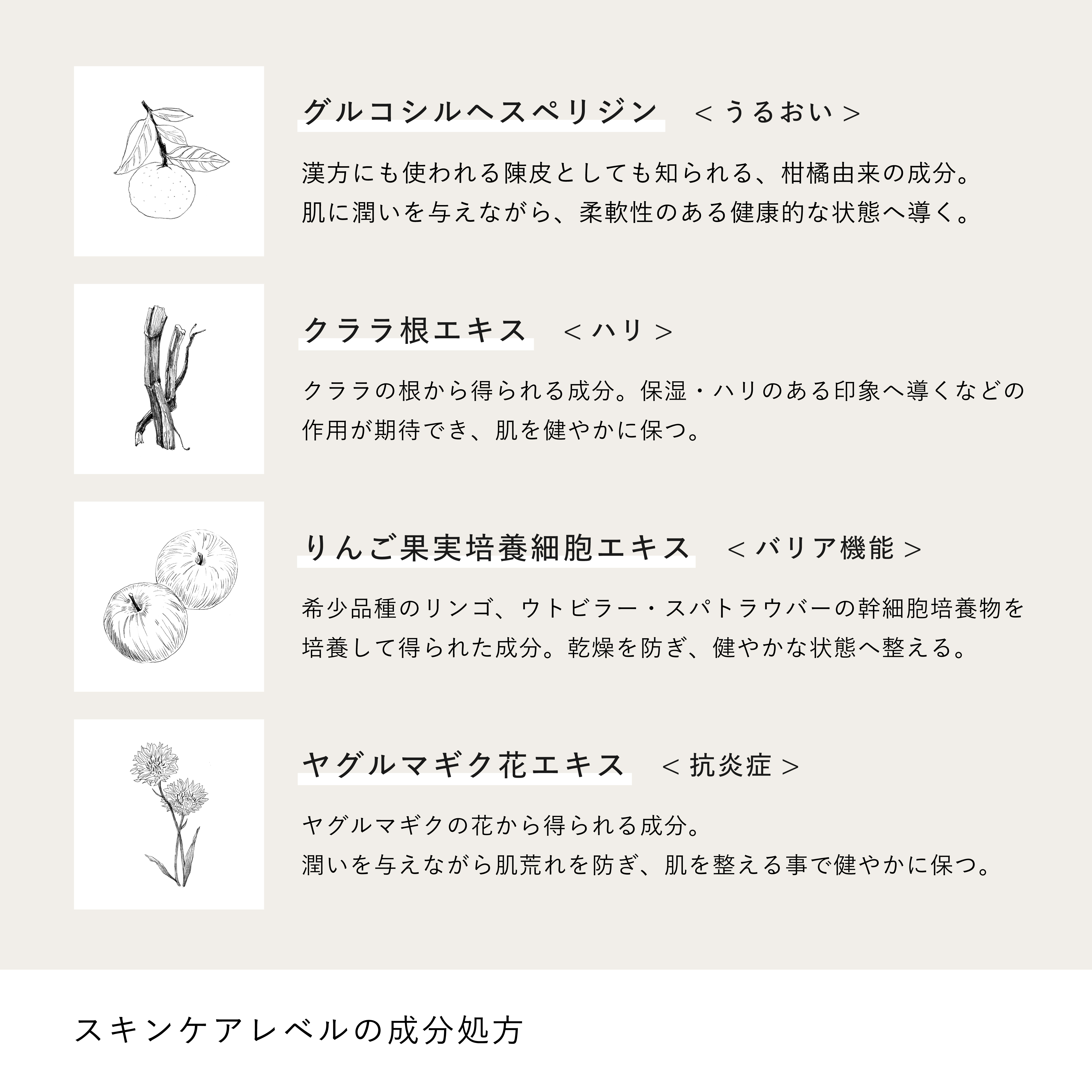 ボディソープ 