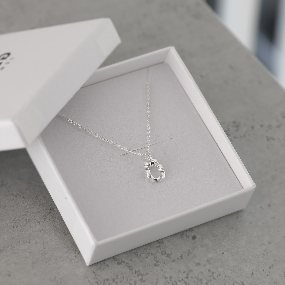 Twist Horseshoe Necklace S925