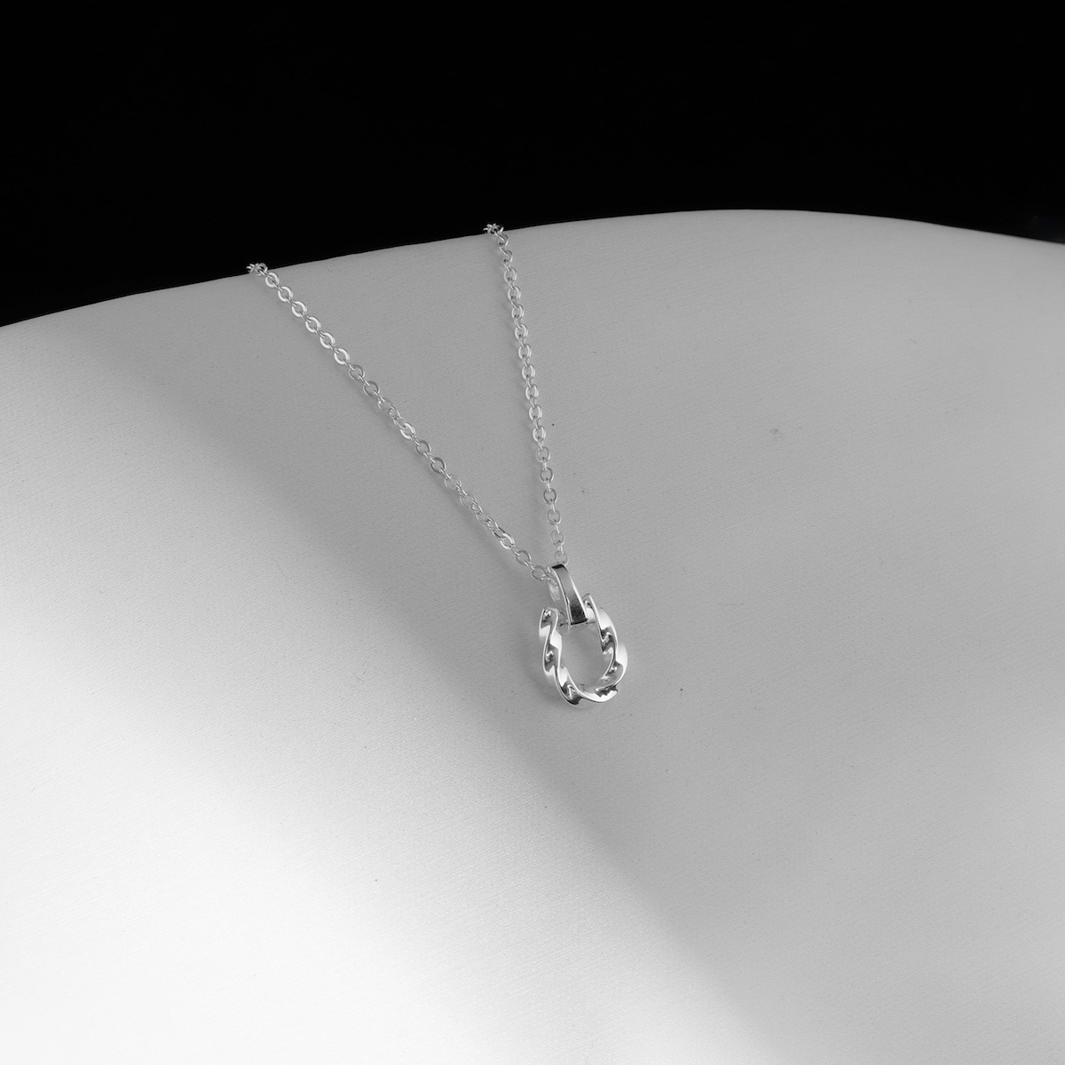 Twist Horseshoe Necklace S925