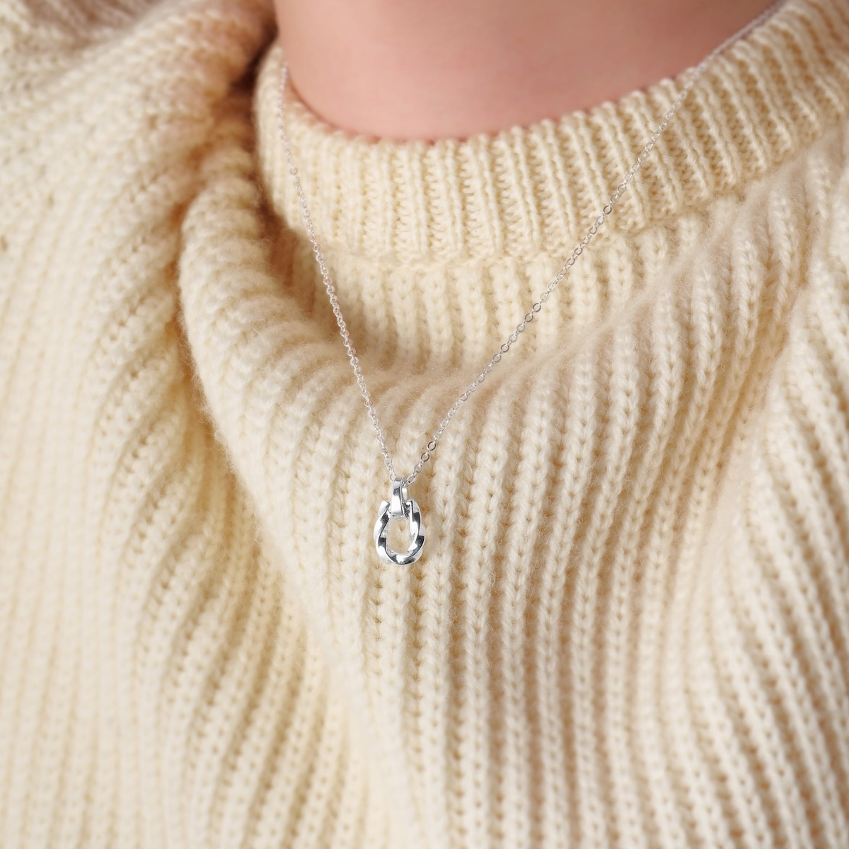 Twist Horseshoe Necklace S925