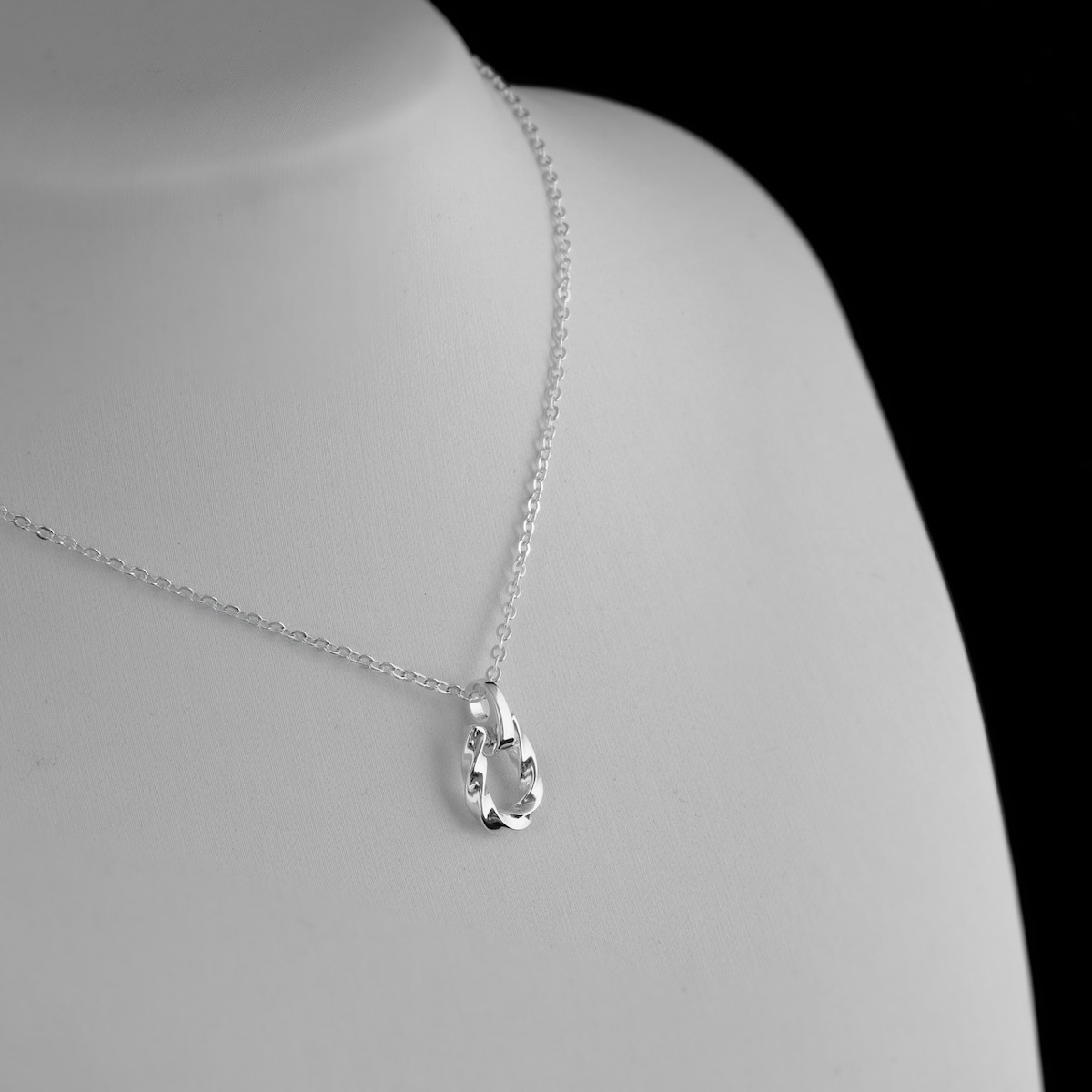 Twist Horseshoe Necklace S925