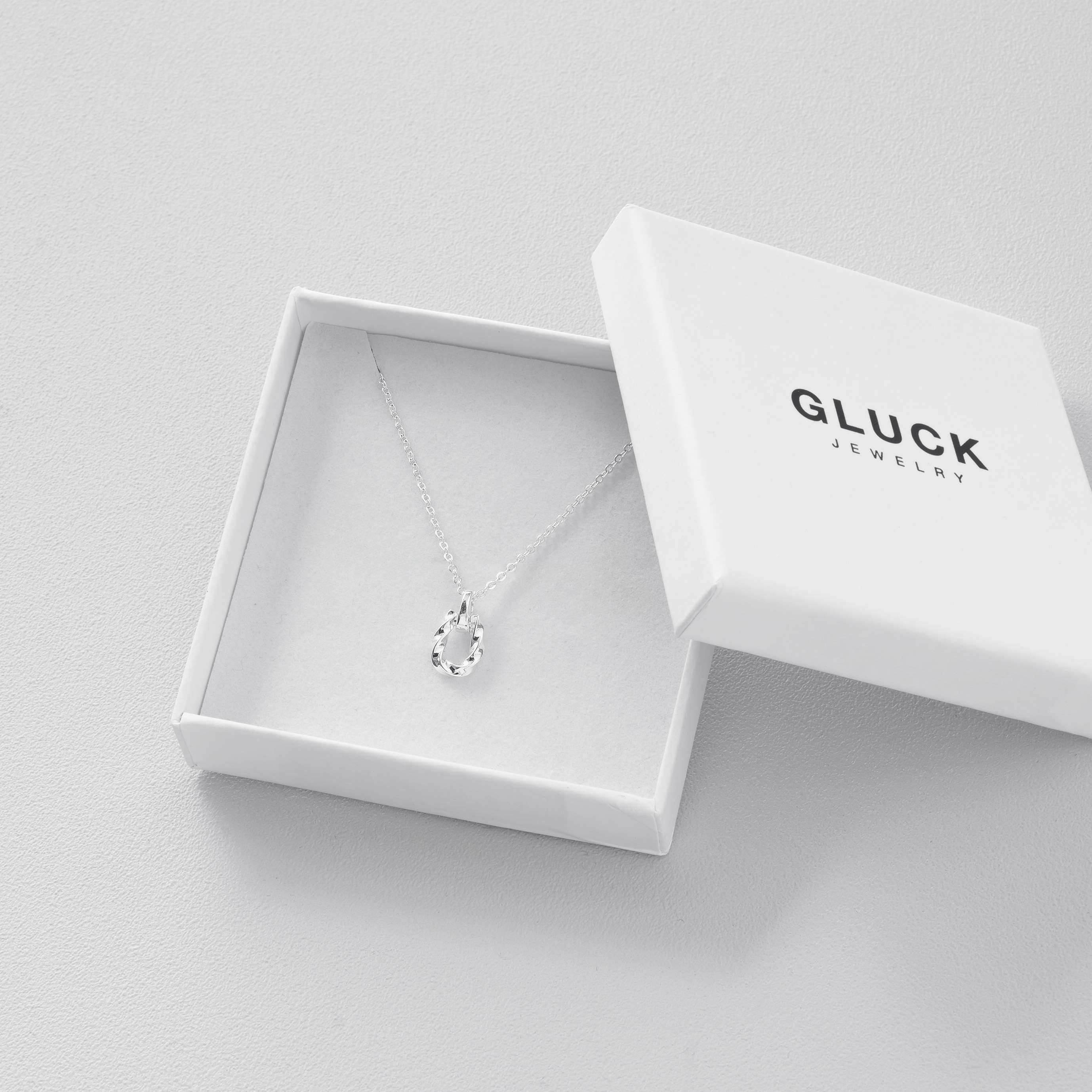 Twist Horseshoe Necklace S925