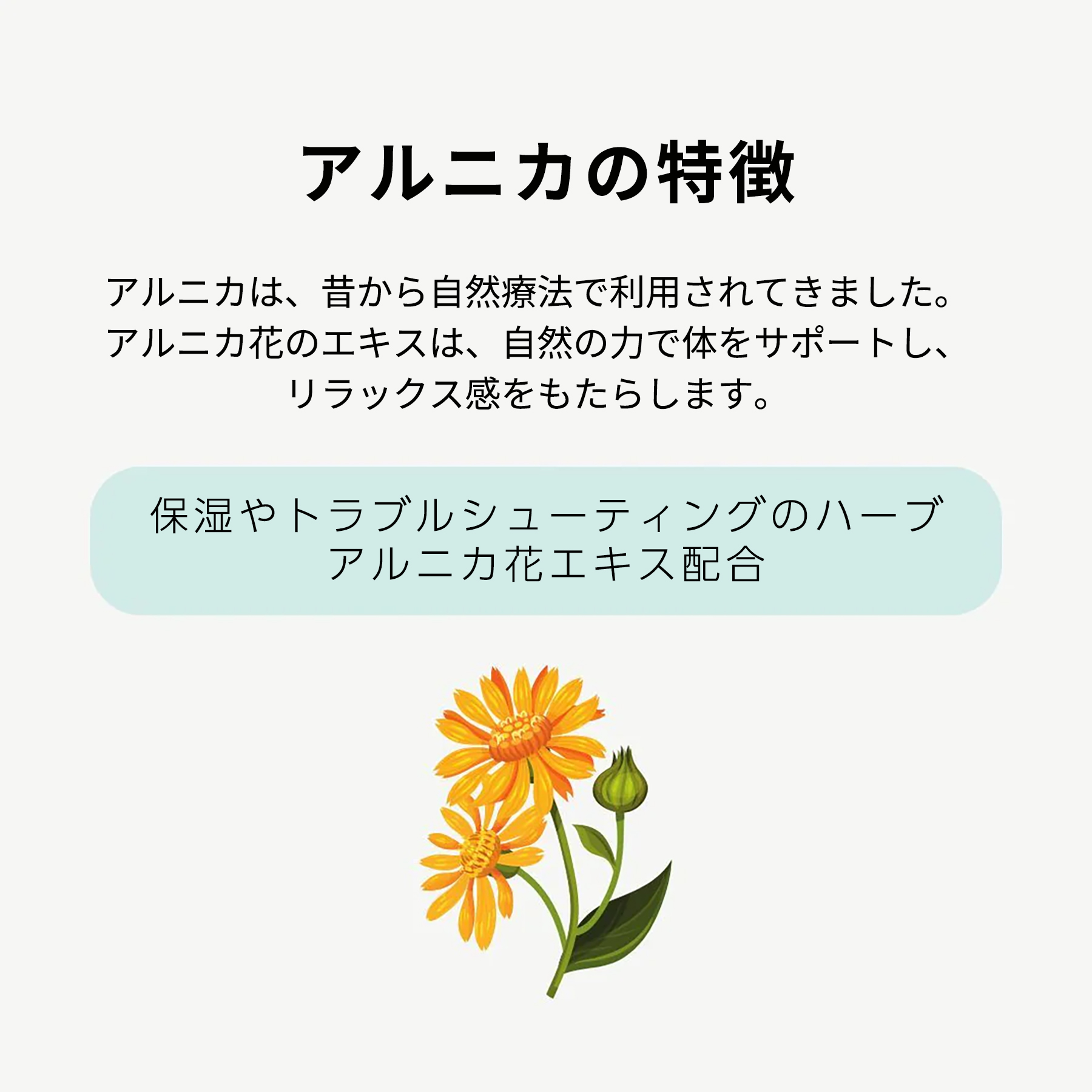 Mgバームスティック