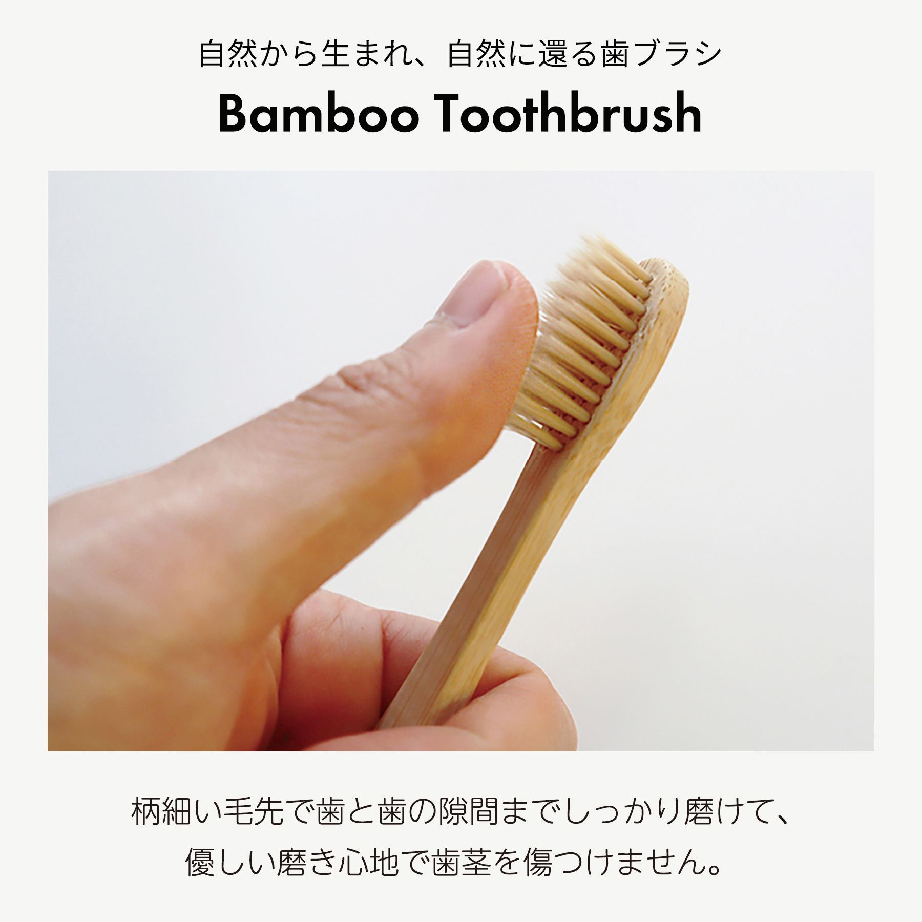 AGPトゥースペースト＋歯ブラシセット