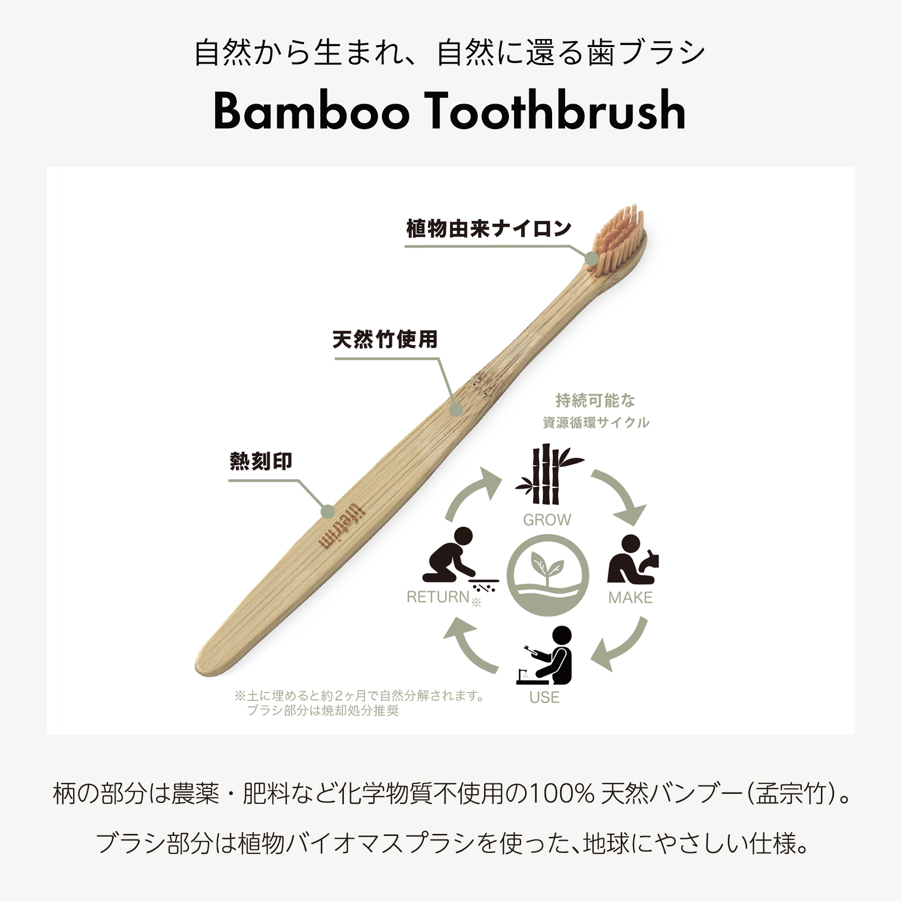 AGPトゥースペースト＋歯ブラシセット