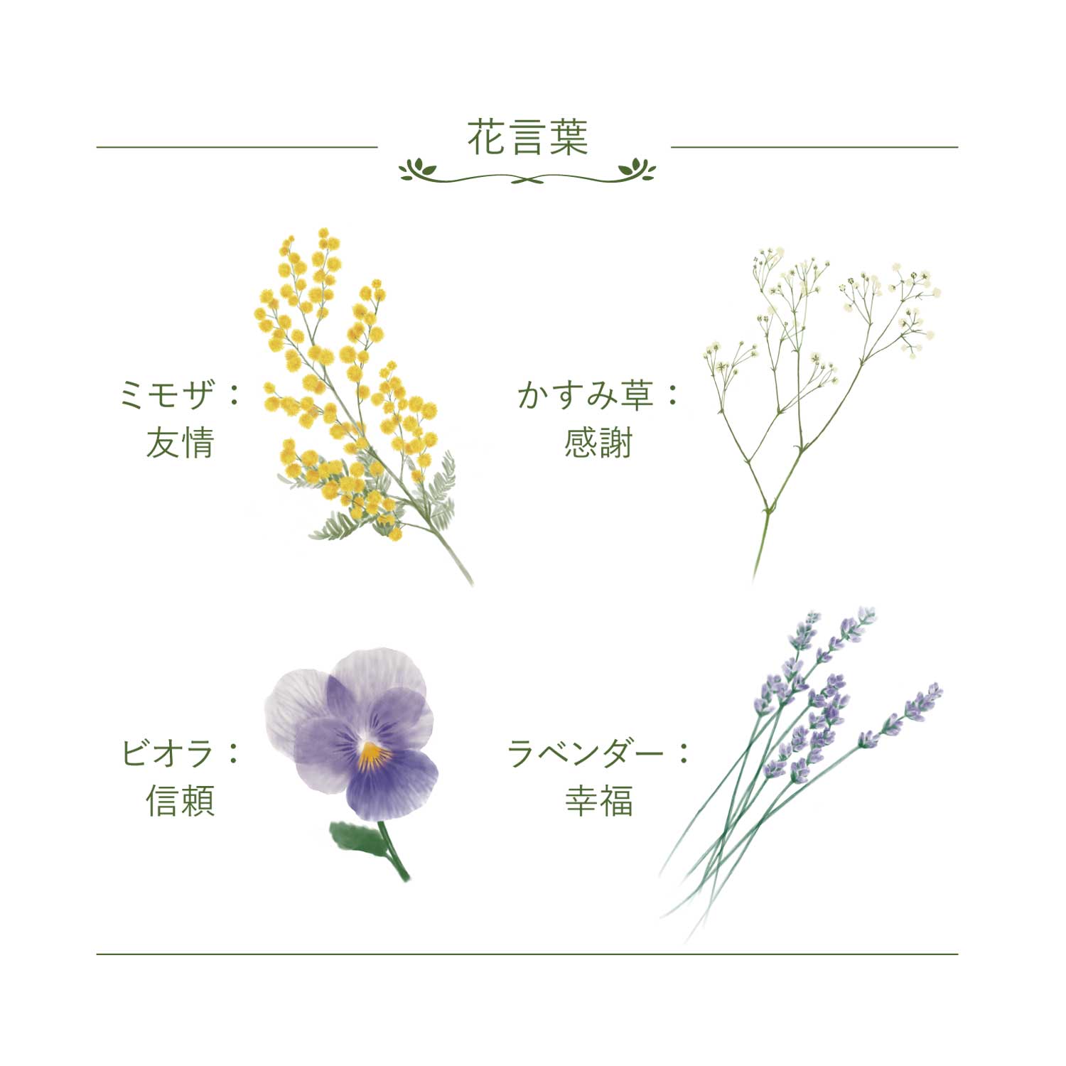花文 ペアタンブラー(ミモザ柄・かすみ草柄)