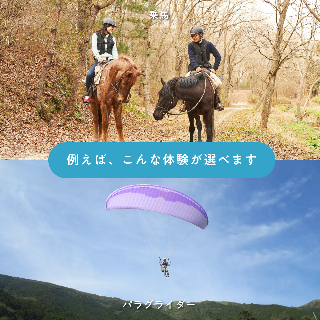 旅と体験のギフト（BLUE）