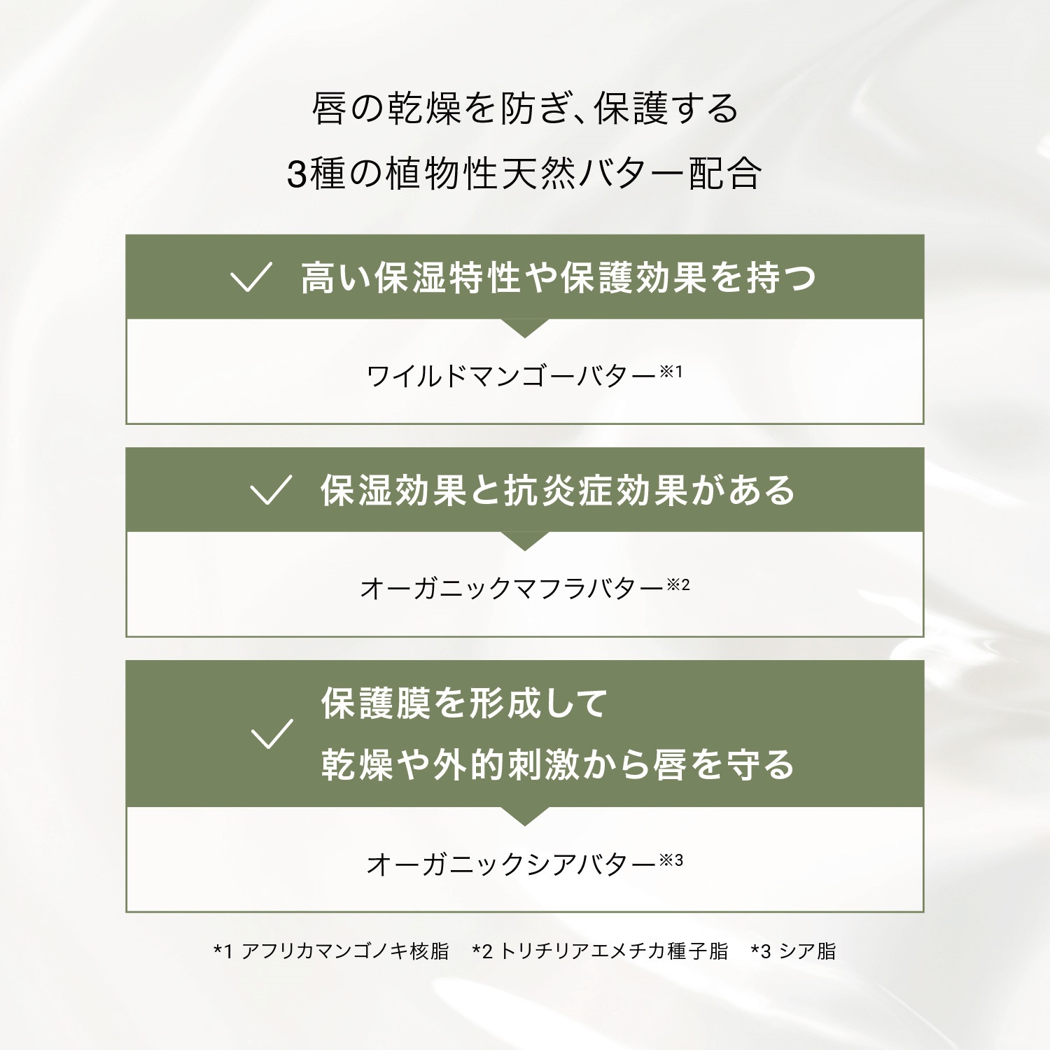 リップバターバーム 10g　無色/クリアタイプ