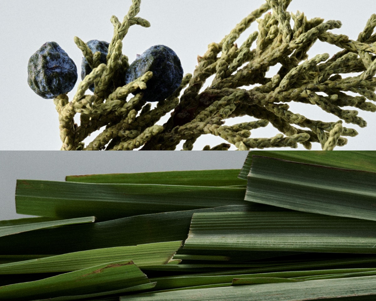 ナチュラルボディミルク N200ml