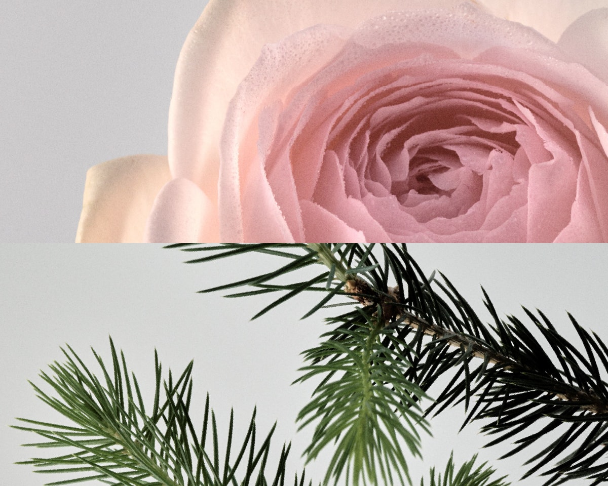 ナチュラルボディミルク N200ml