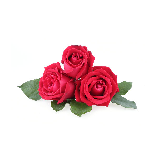 【ギフトBOX入】バスパウダースモールサイズセット 入浴料