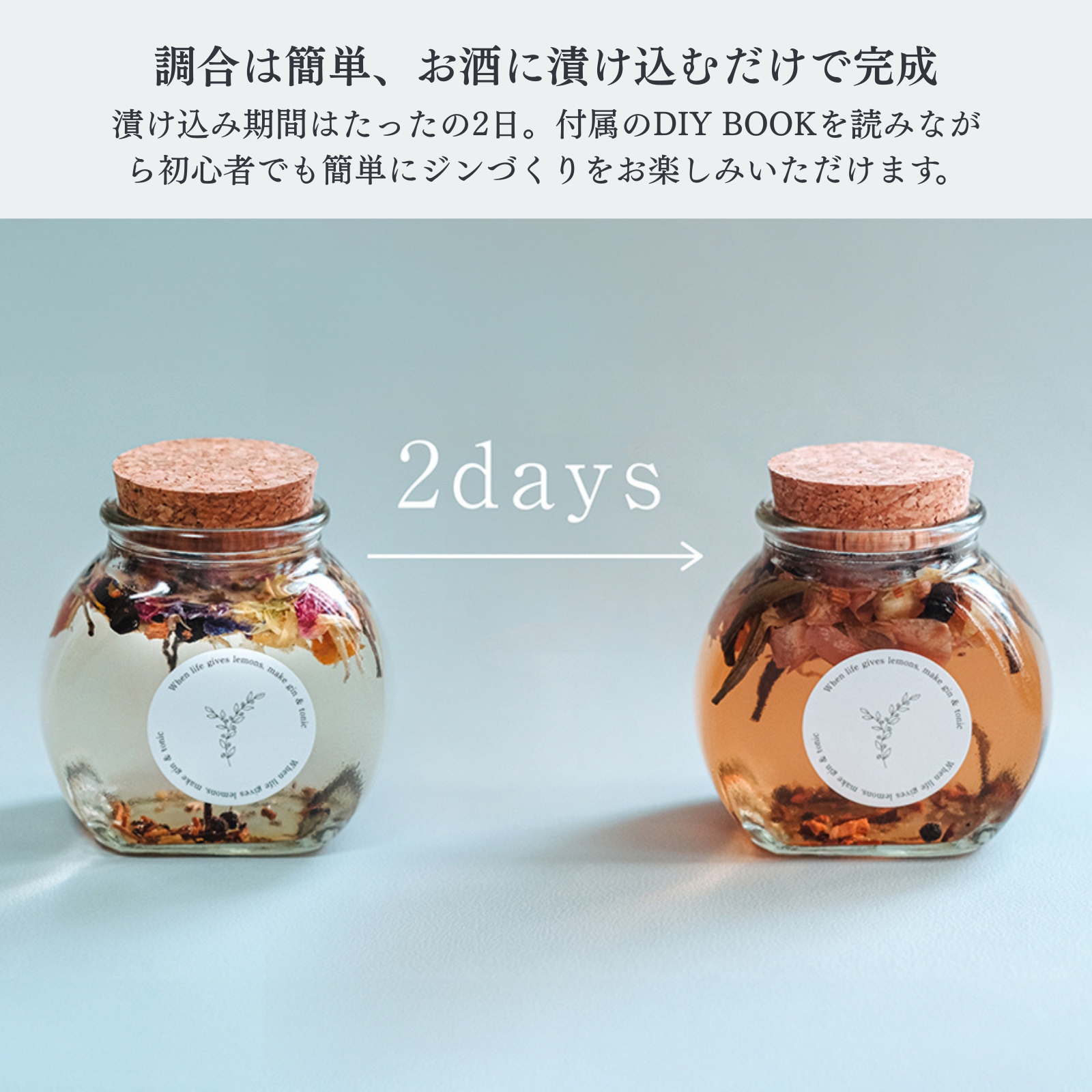 【父の日】Homemade Gin kit