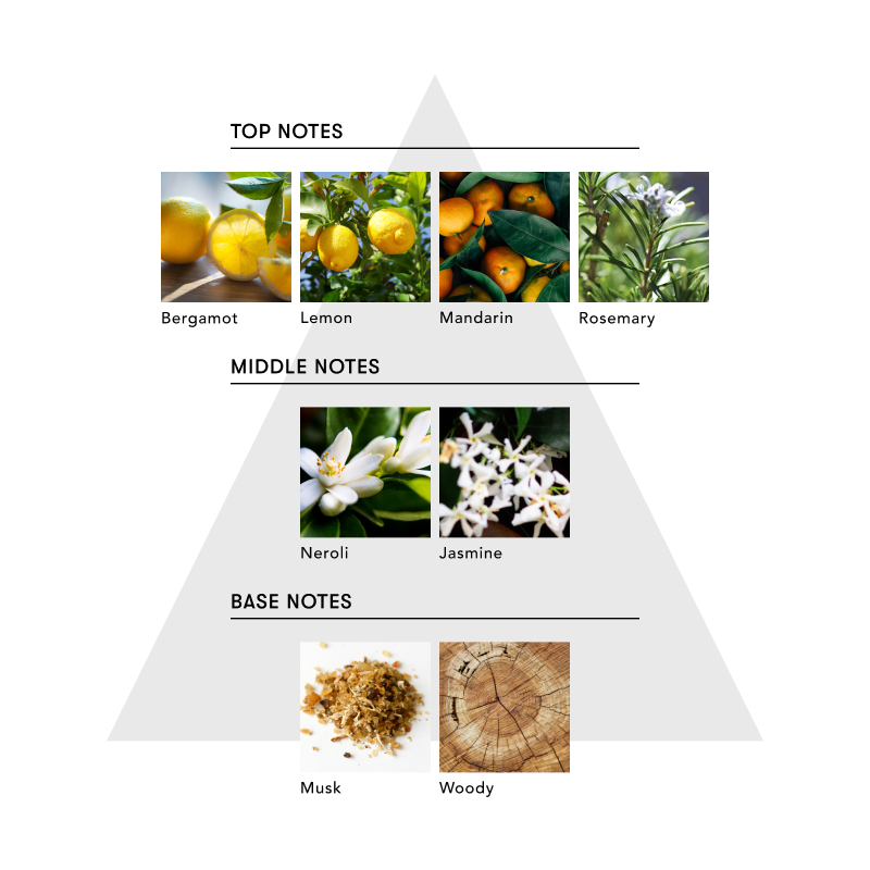 【内田理央コラボ】マインドフル バス エクスペリエンス