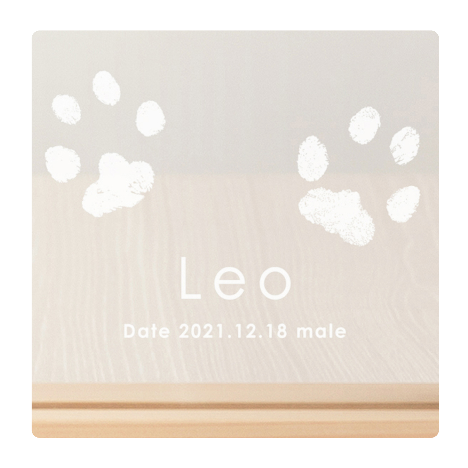 ＜愛犬・愛猫用ギフト券＞うちの子記念日・ウッドフォトフレーム