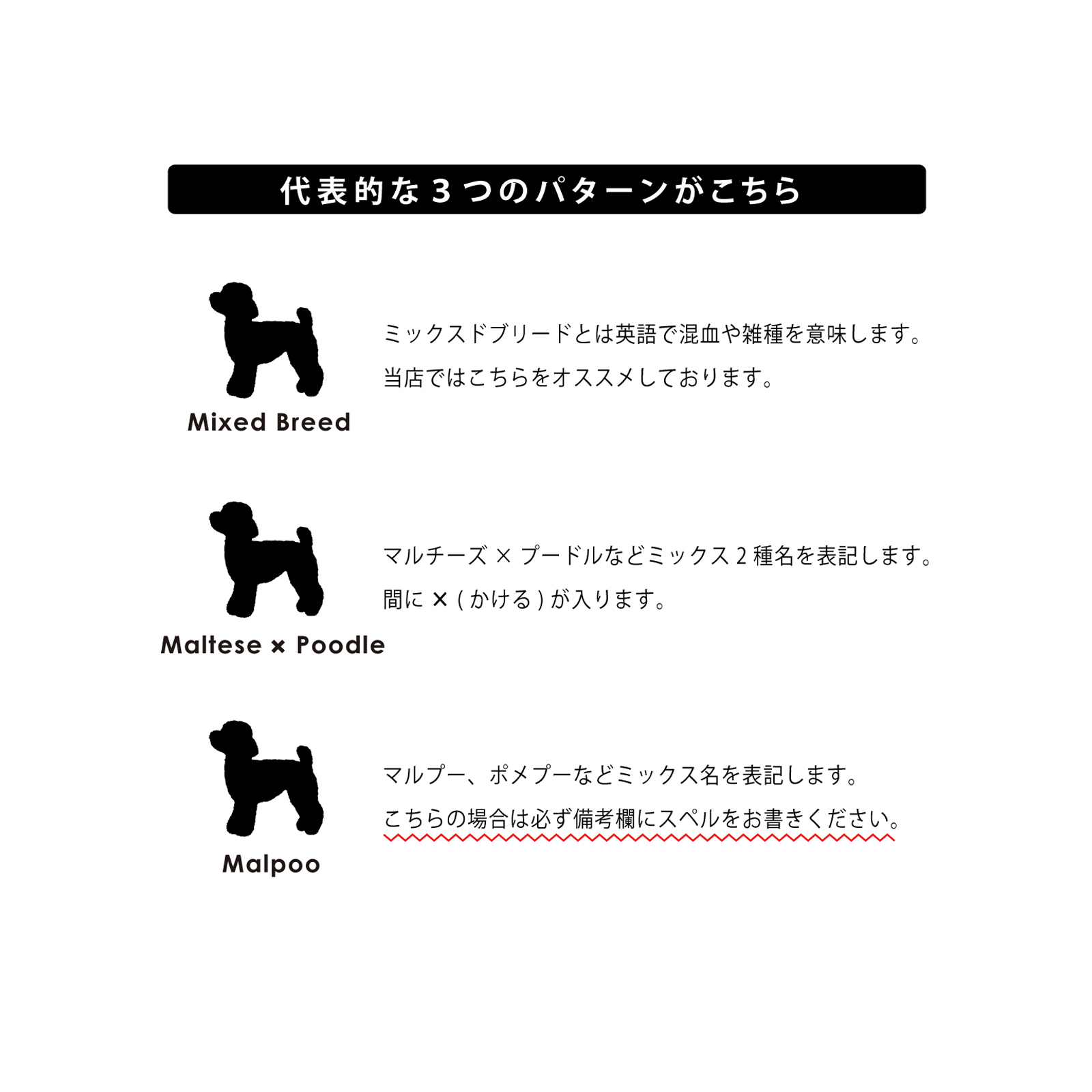 ＜愛犬・愛猫用ギフト券＞うちの子記念日・ムーンフォトスタンド