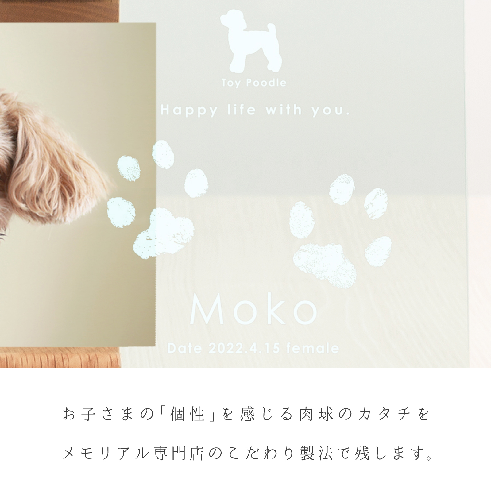 ＜愛犬・愛猫用ギフト券＞うちの子記念日・ムーンフォトスタンド