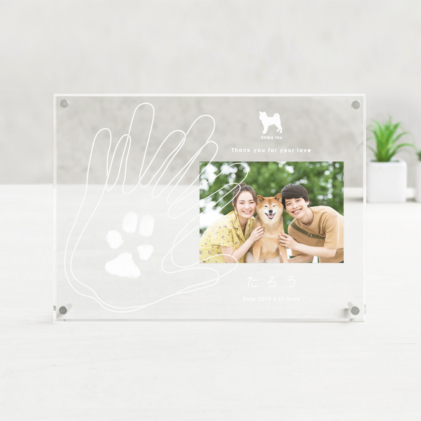 愛犬・愛猫用ギフト券＞うちの子記念日・ファミリーフォトフレーム