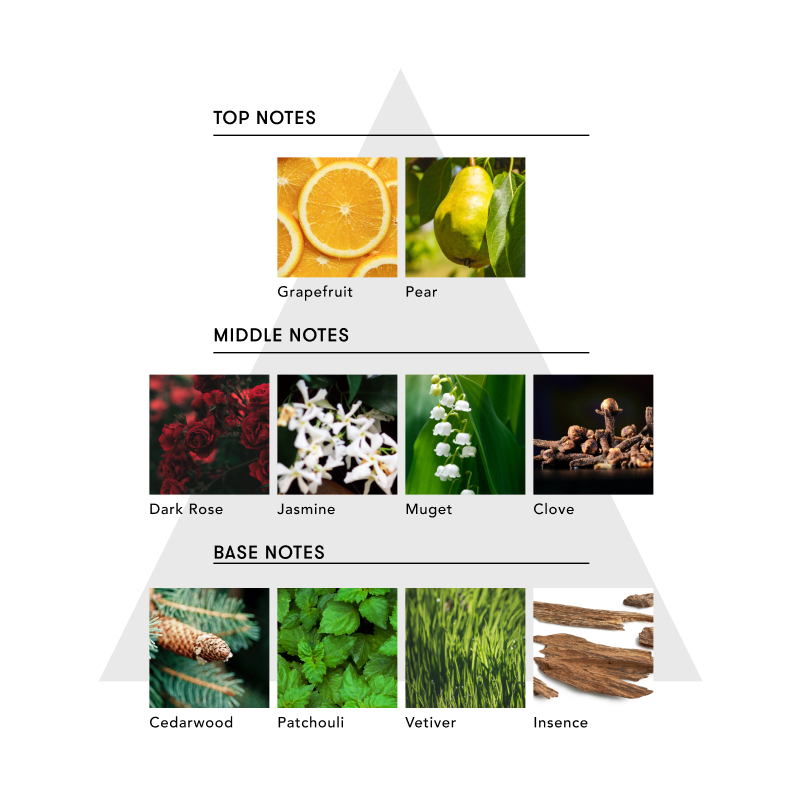 マルチベネフィットオイル＆ハンドセラムセット