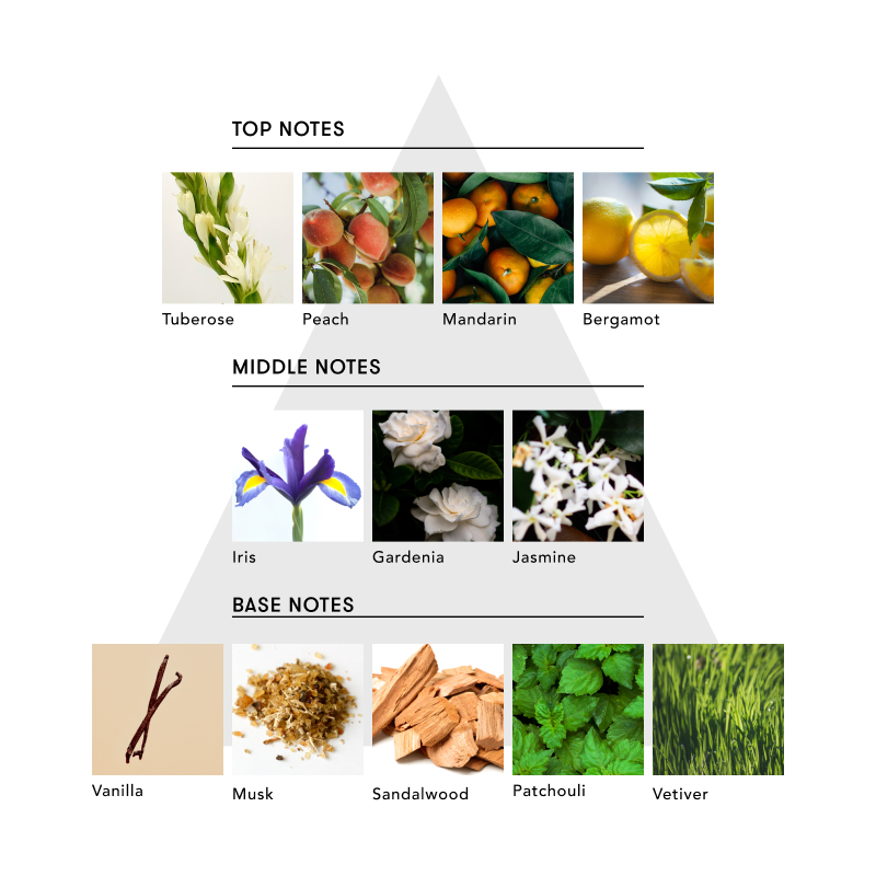 マルチベネフィットオイル＆ハンドセラムセット