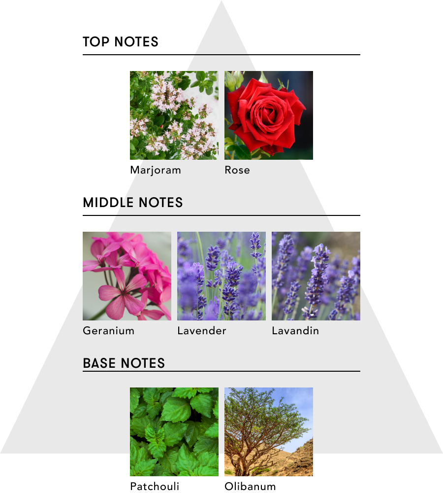 トゥーグッド マルチベネフィットオイルとAGスターフィッシュ シートマスクのセット