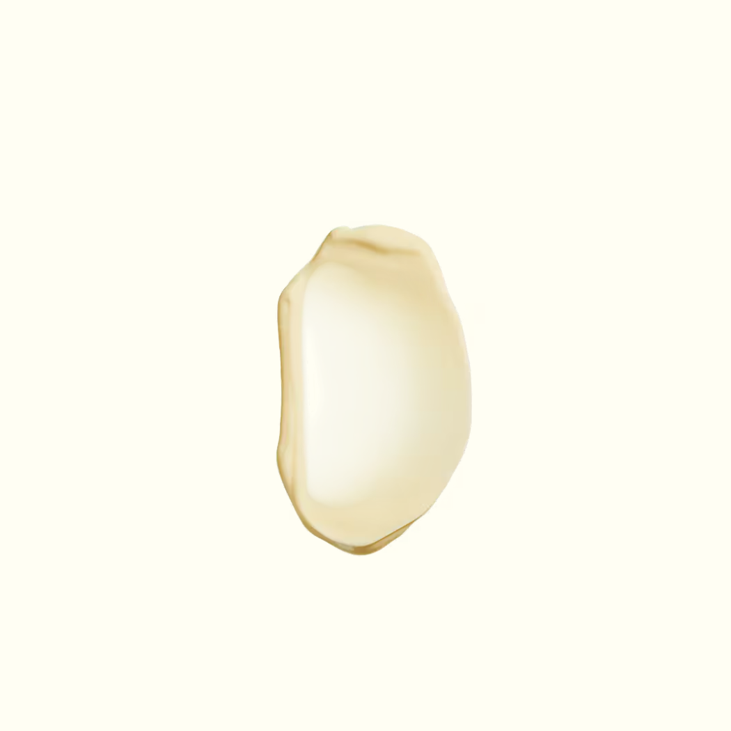 レバレンス ハンドバーム 500ml